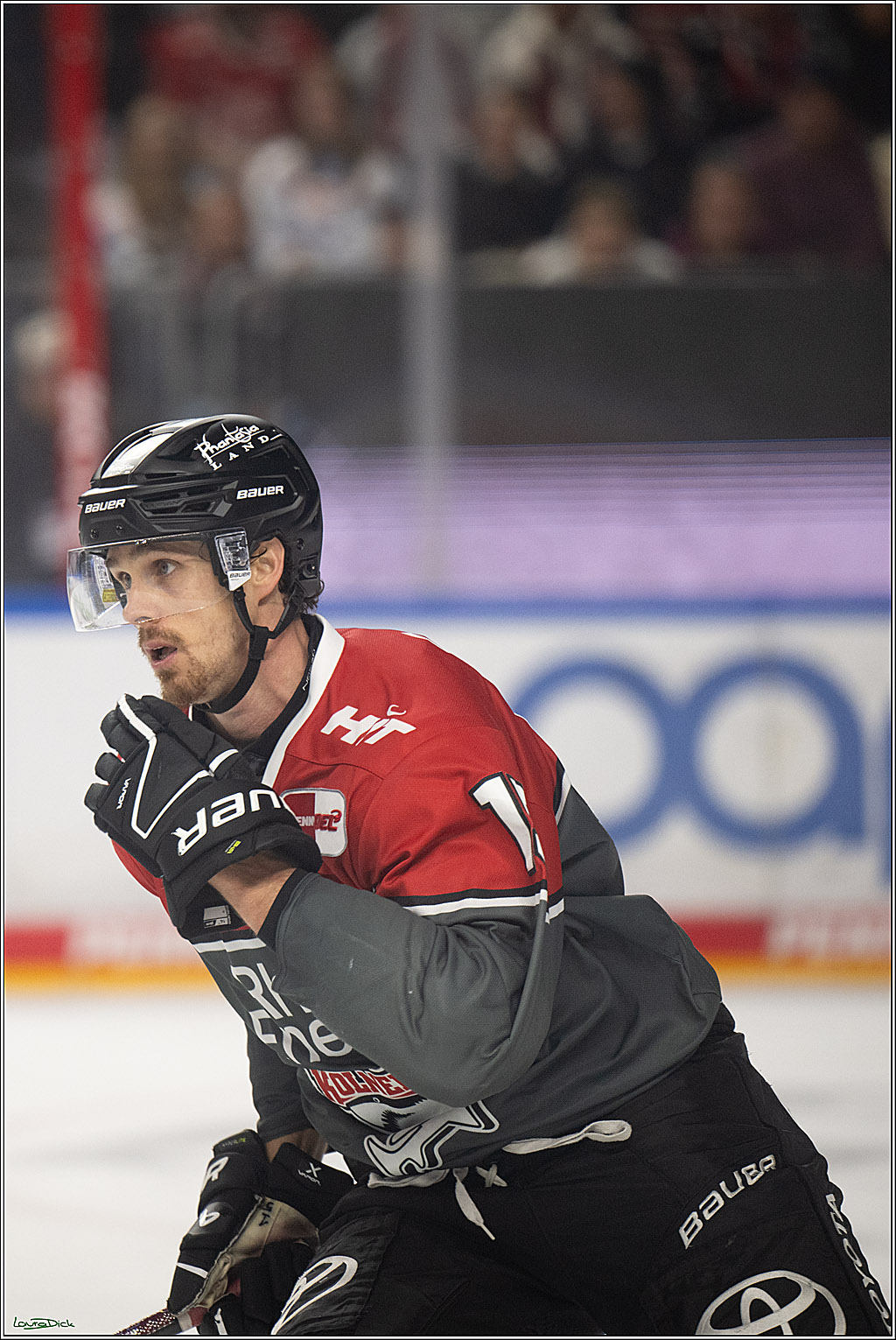 PENNY DEL 1; Kölner Haie - Schwenninger Wild Wings; Köln, 20.10.2026