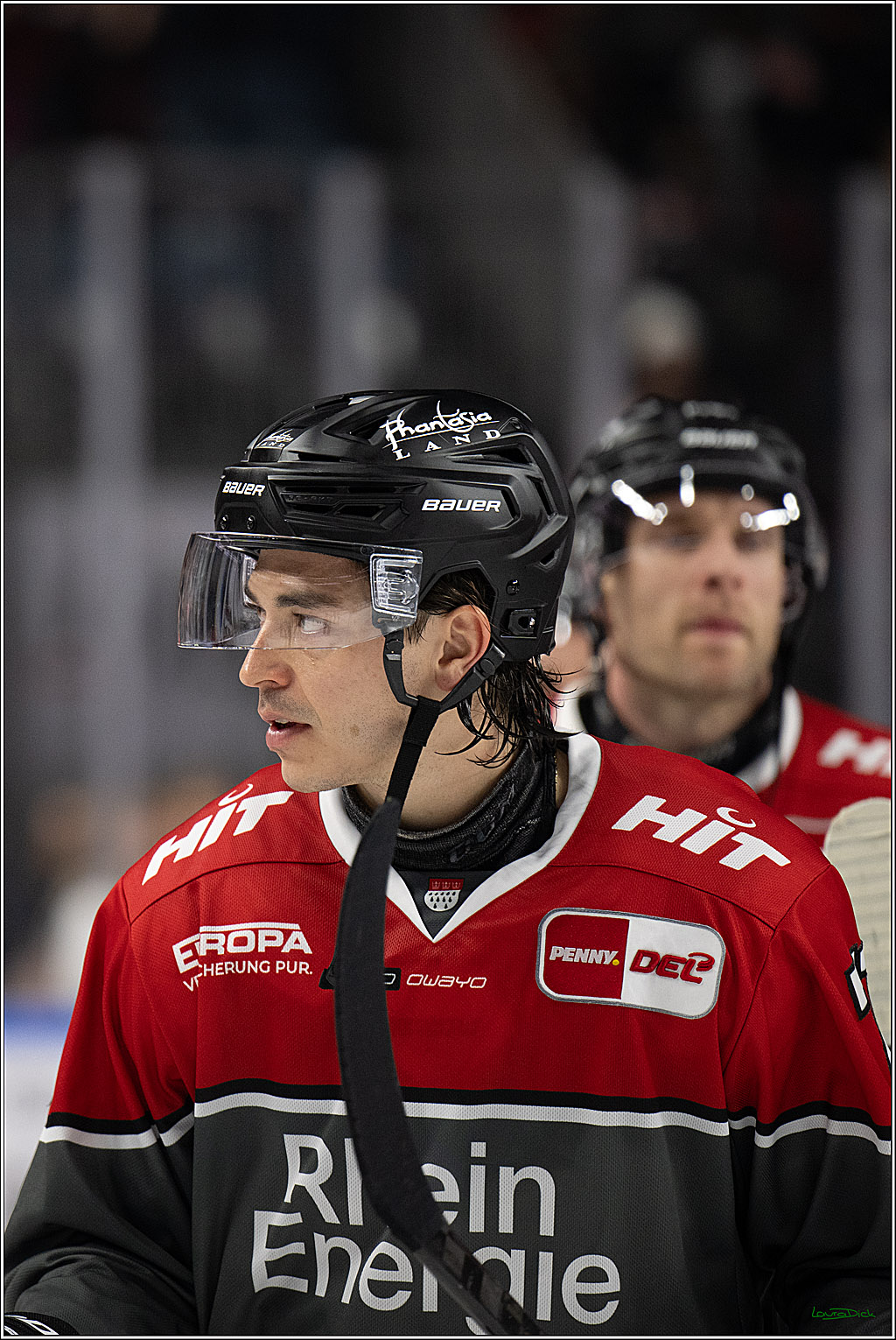PENNY DEL 1; Kölner Haie - Schwenninger Wild Wings; Köln, 20.10.2026