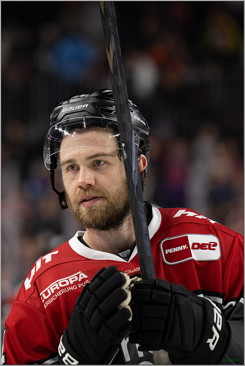 PENNY DEL 1; Kölner Haie - Schwenninger Wild Wings; Köln, 20.10.2026