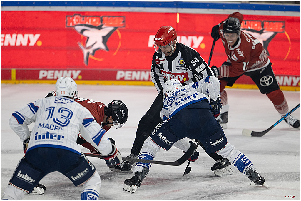 PENNY DEL 1; Kölner Haie - Adler Mannheim; Köln, 27.10.2026