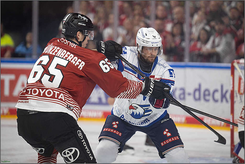 PENNY DEL 1; Kölner Haie - Adler Mannheim; Köln, 27.10.2026