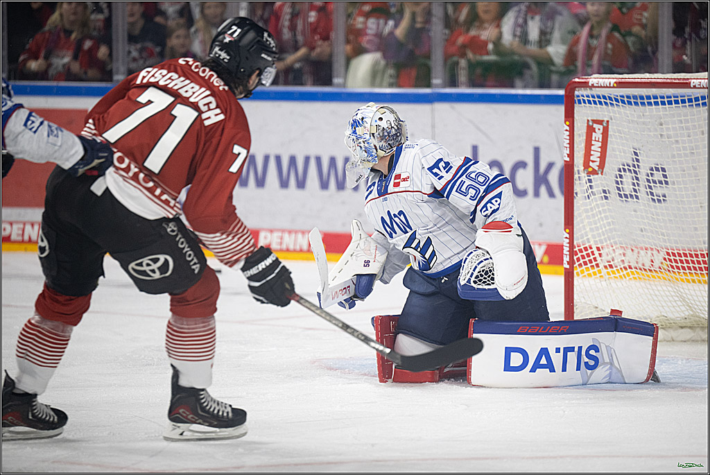 PENNY DEL 1; Kölner Haie - Adler Mannheim; Köln, 27.10.2026