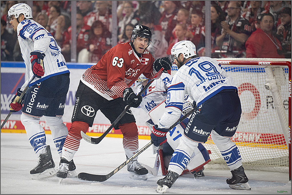 PENNY DEL 1; Kölner Haie - Adler Mannheim; Köln, 27.10.2026