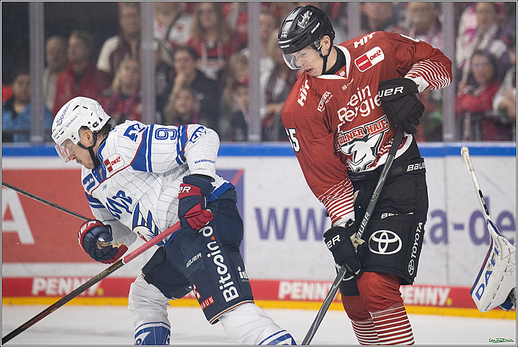 PENNY DEL 1; Kölner Haie - Adler Mannheim; Köln, 27.10.2026