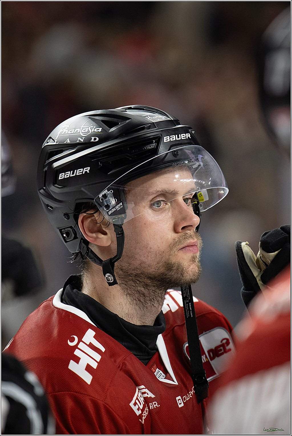 PENNY DEL 1; Kölner Haie - Adler Mannheim; Köln, 27.10.2026