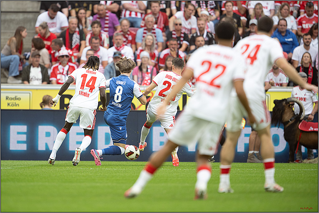 1. Fussball Bundesliga, 1.FC Köln - TSG 1899 Hoffenheim, 29.08.2026