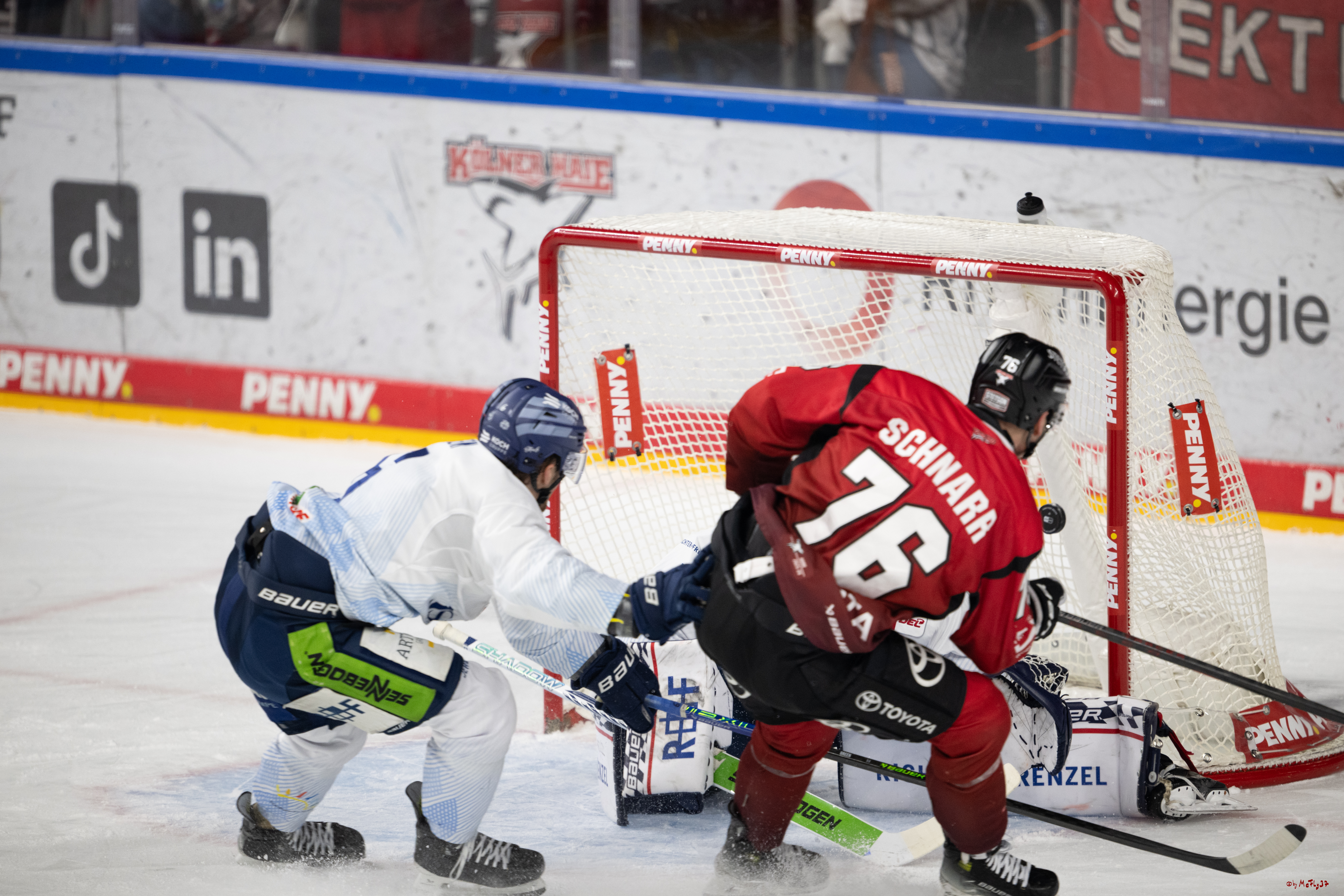 PENNY DEL 1; Kölner Haie - Straubing Tigers; Köln, 02.01.2026