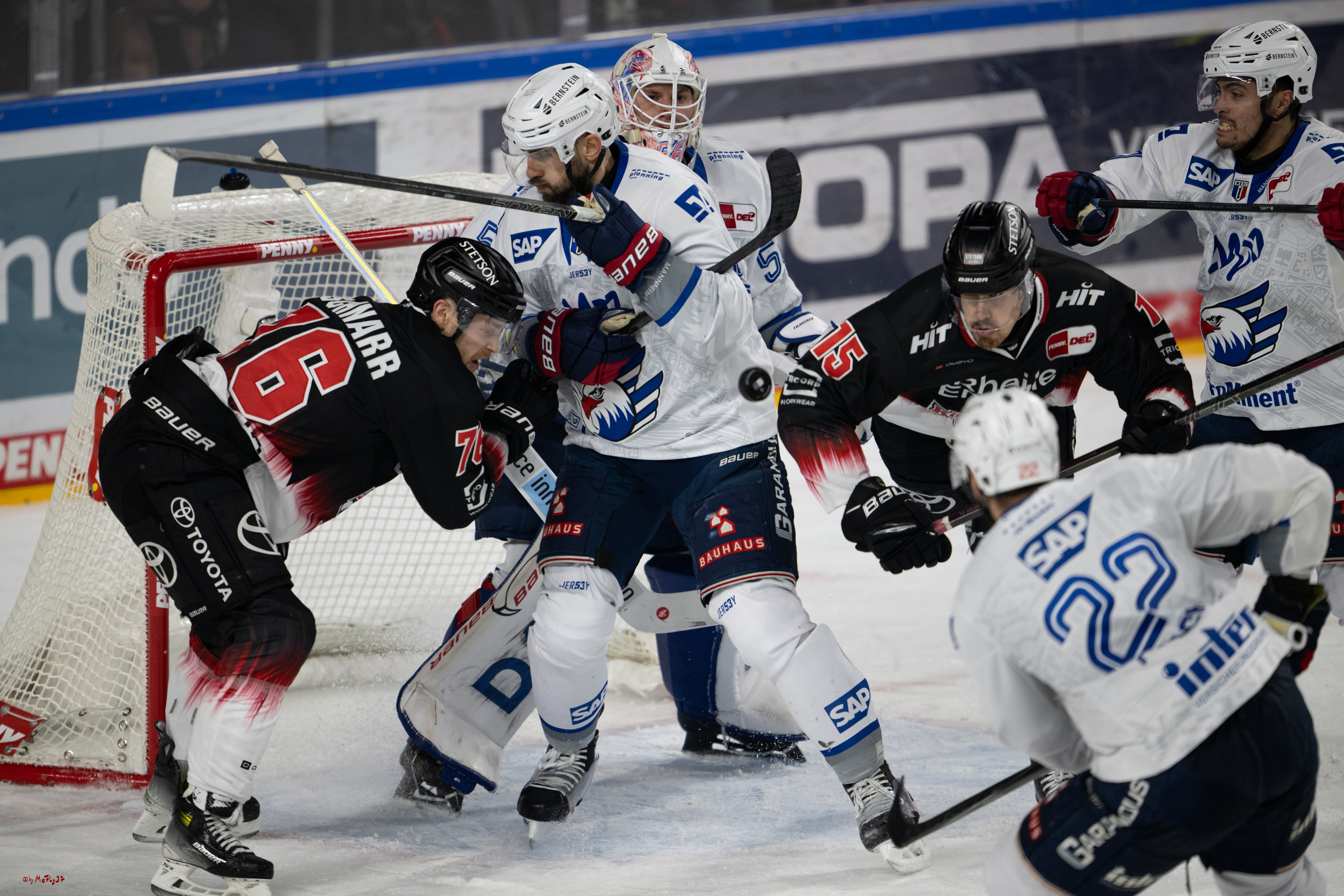 PENNY DEL 1; Kölner Haie - Adler Mannheim; Köln, 25.11.2025