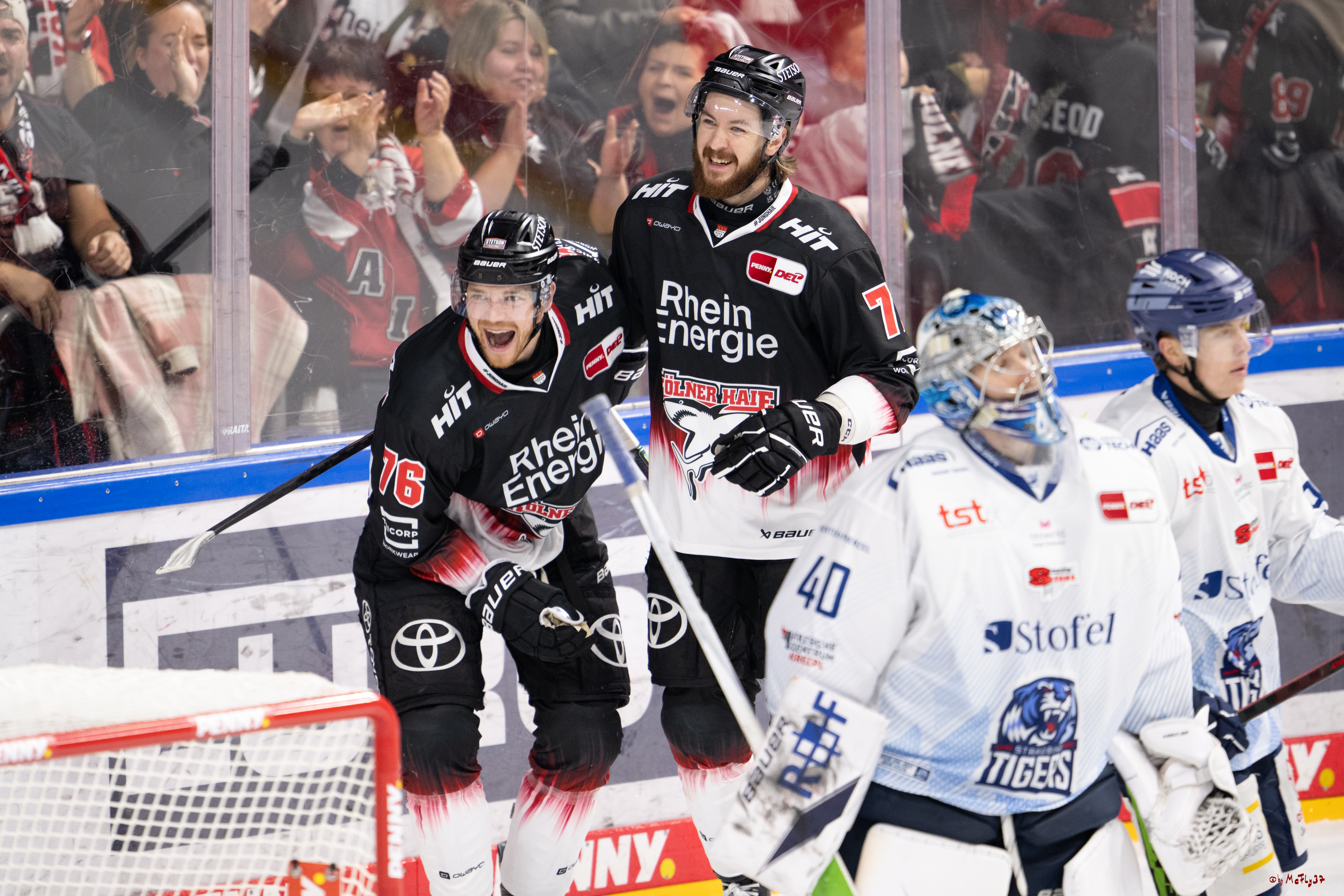 PENNY DEL 1; Kölner Haie - Straubing Tigers; Köln, 19.10.2025