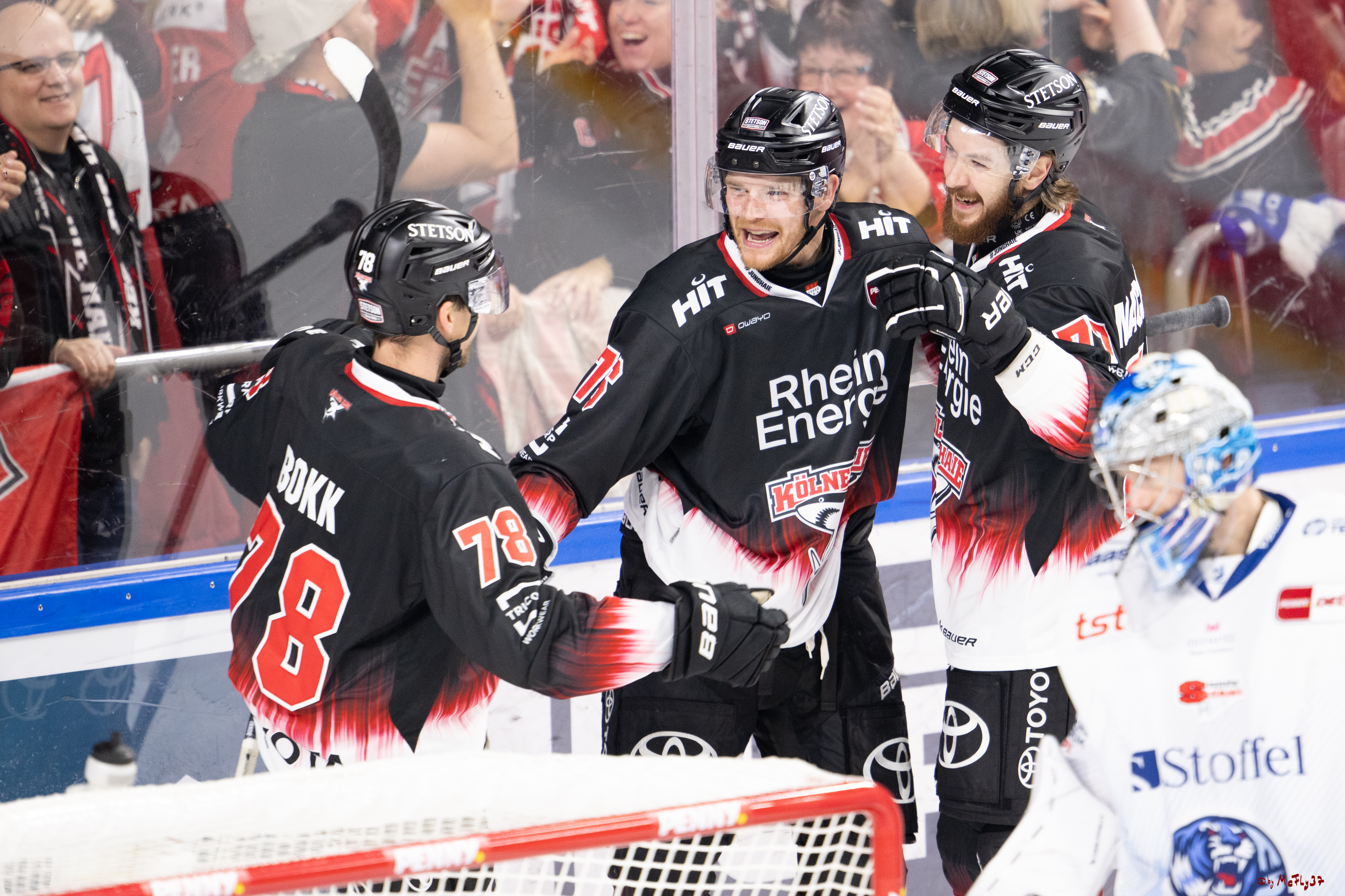 PENNY DEL 1; Kölner Haie - Straubing Tigers; Köln, 19.10.2025