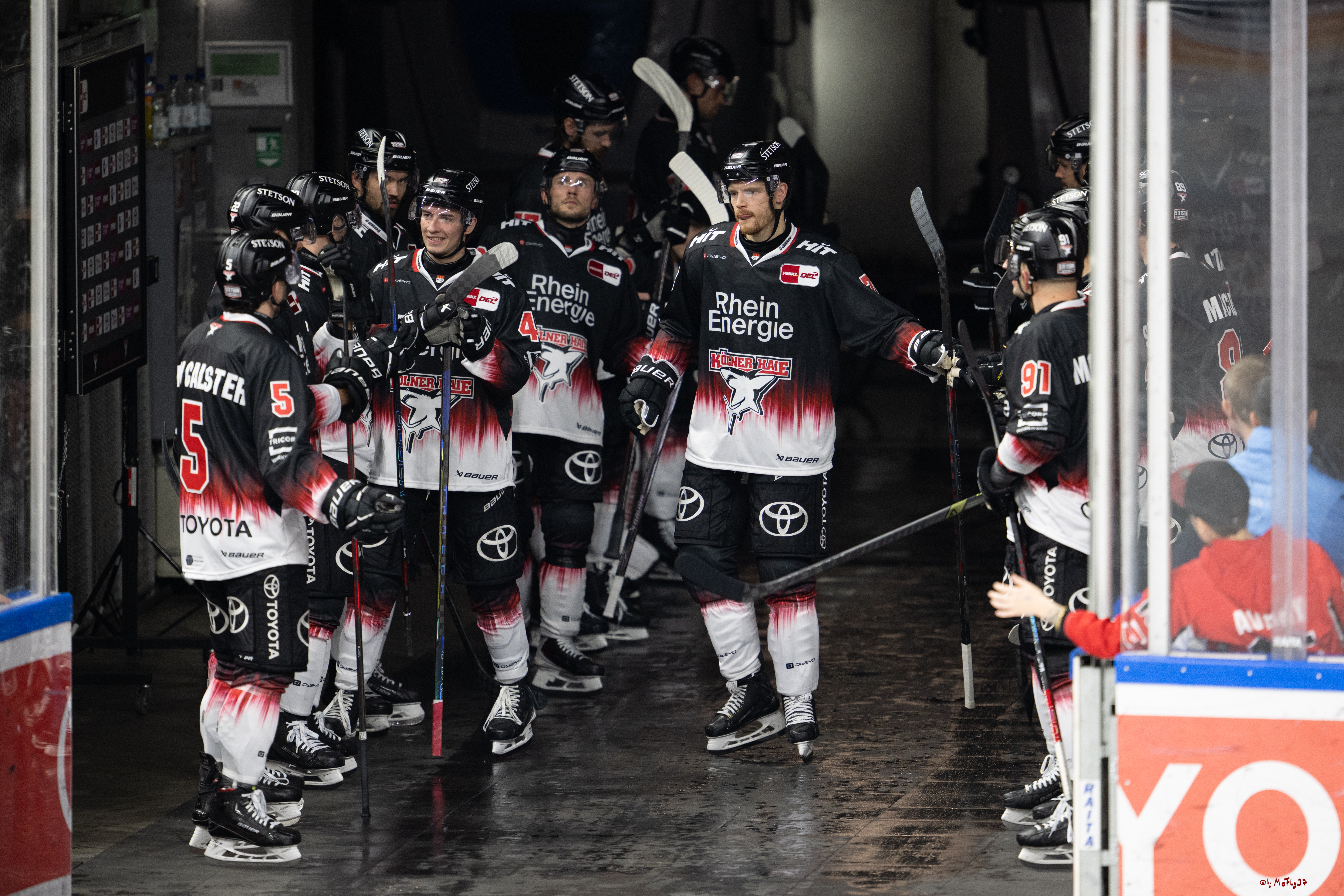 PENNY DEL 1; Kölner Haie - Straubing Tigers; Köln, 19.10.2025