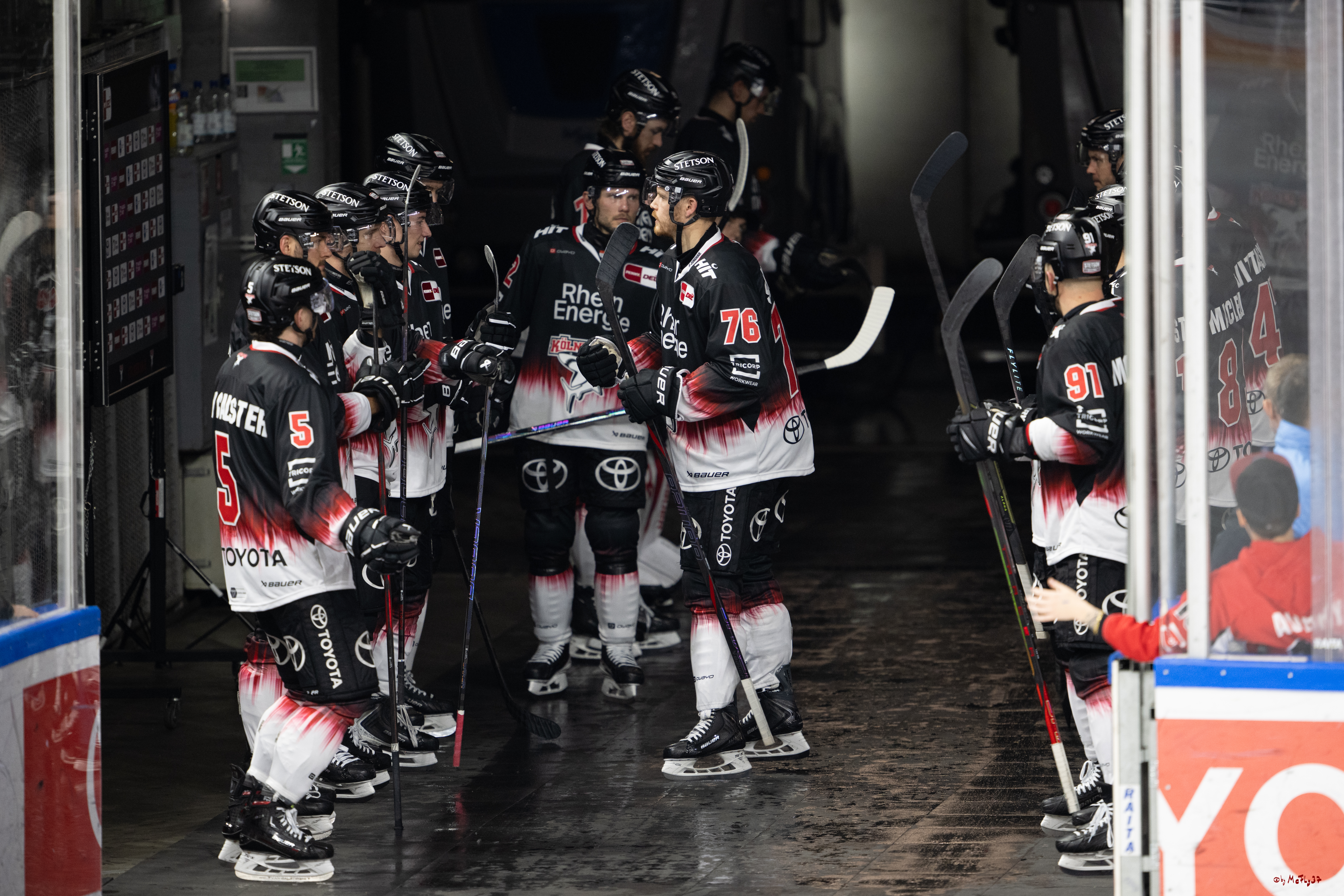 PENNY DEL 1; Kölner Haie - Straubing Tigers; Köln, 19.10.2025