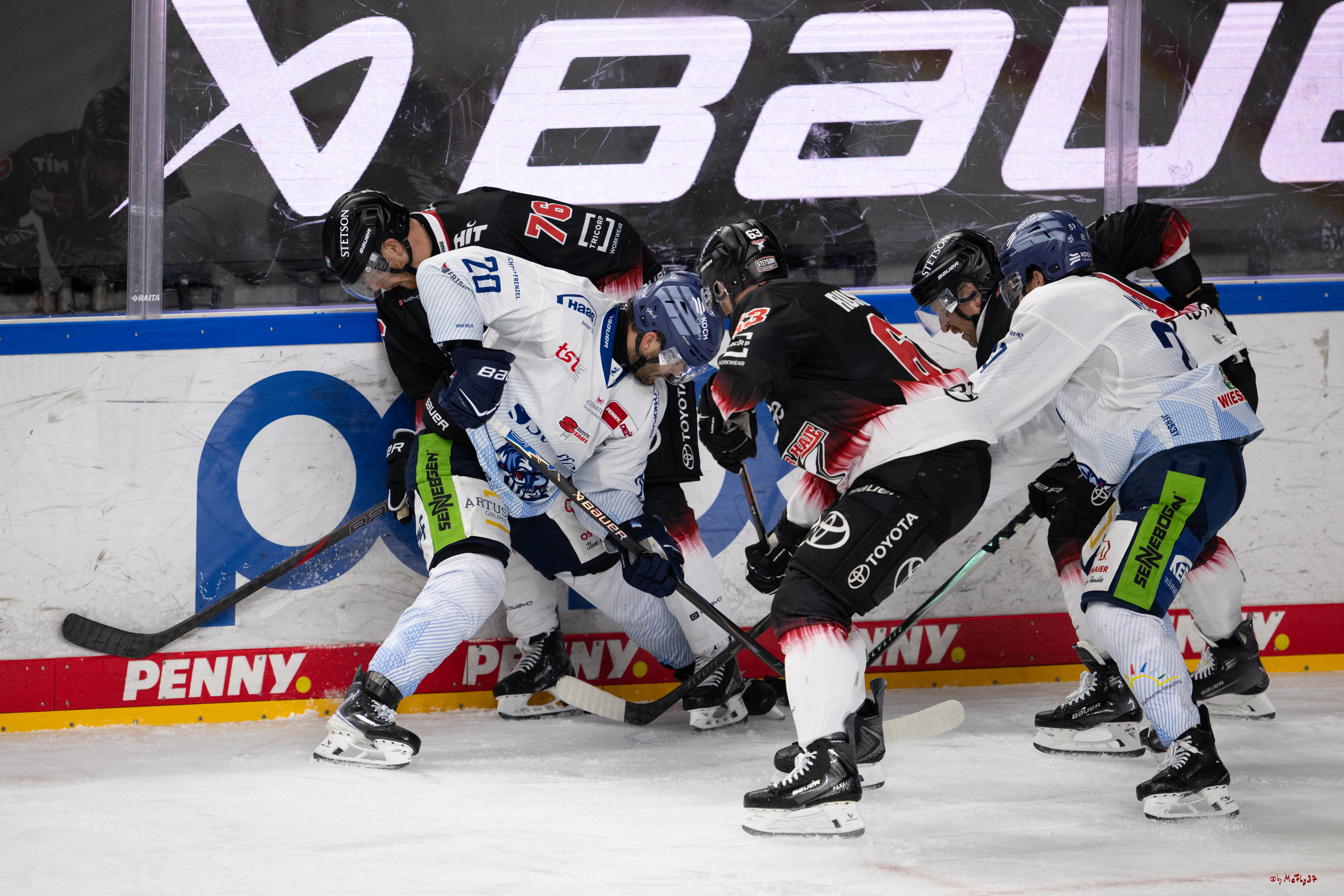 PENNY DEL 1; Kölner Haie - Straubing Tigers; Köln, 19.10.2025