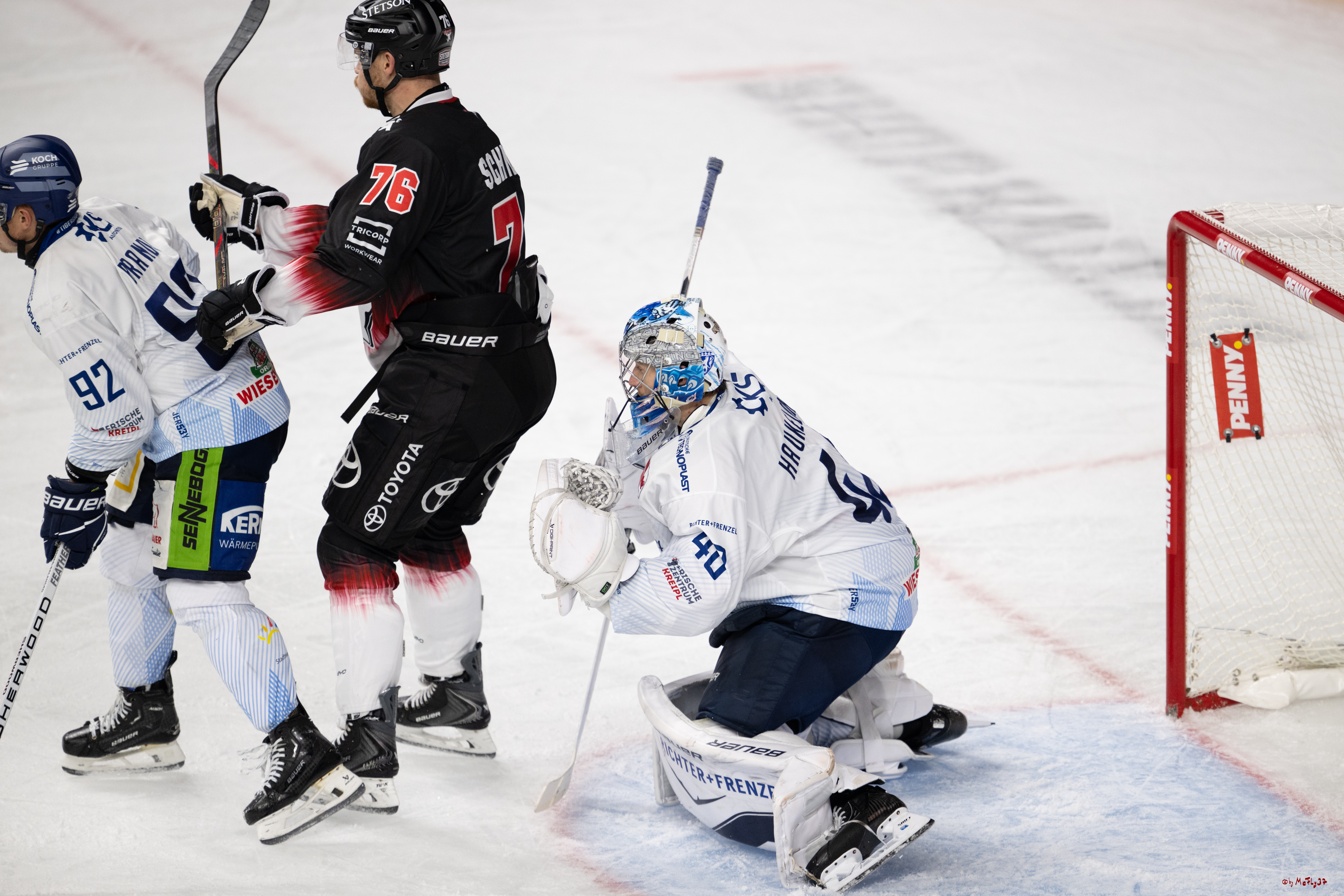 PENNY DEL 1; Kölner Haie - Straubing Tigers; Köln, 19.10.2025