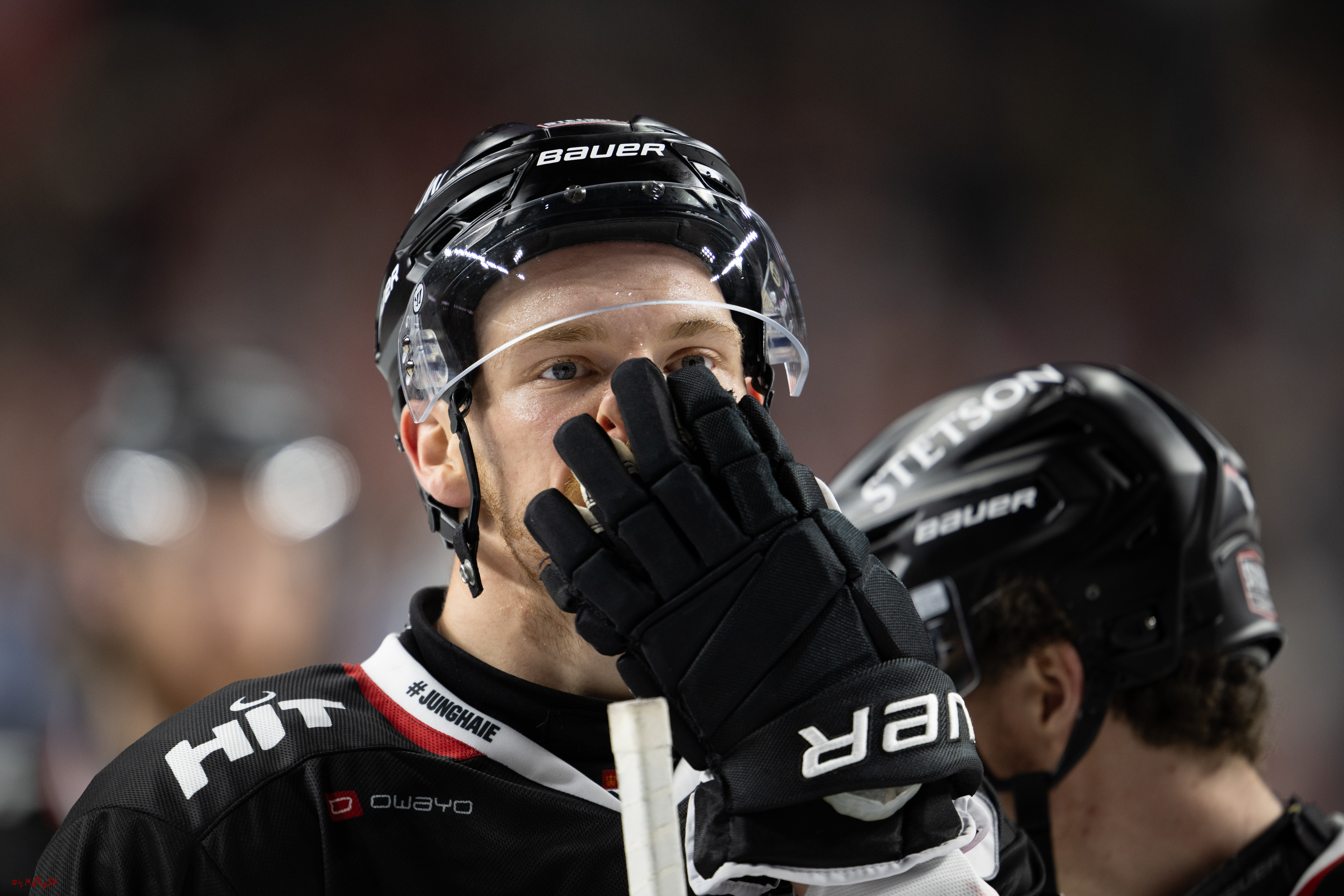 PENNY DEL 1; Kölner Haie - Straubing Tigers; Köln, 19.10.2025