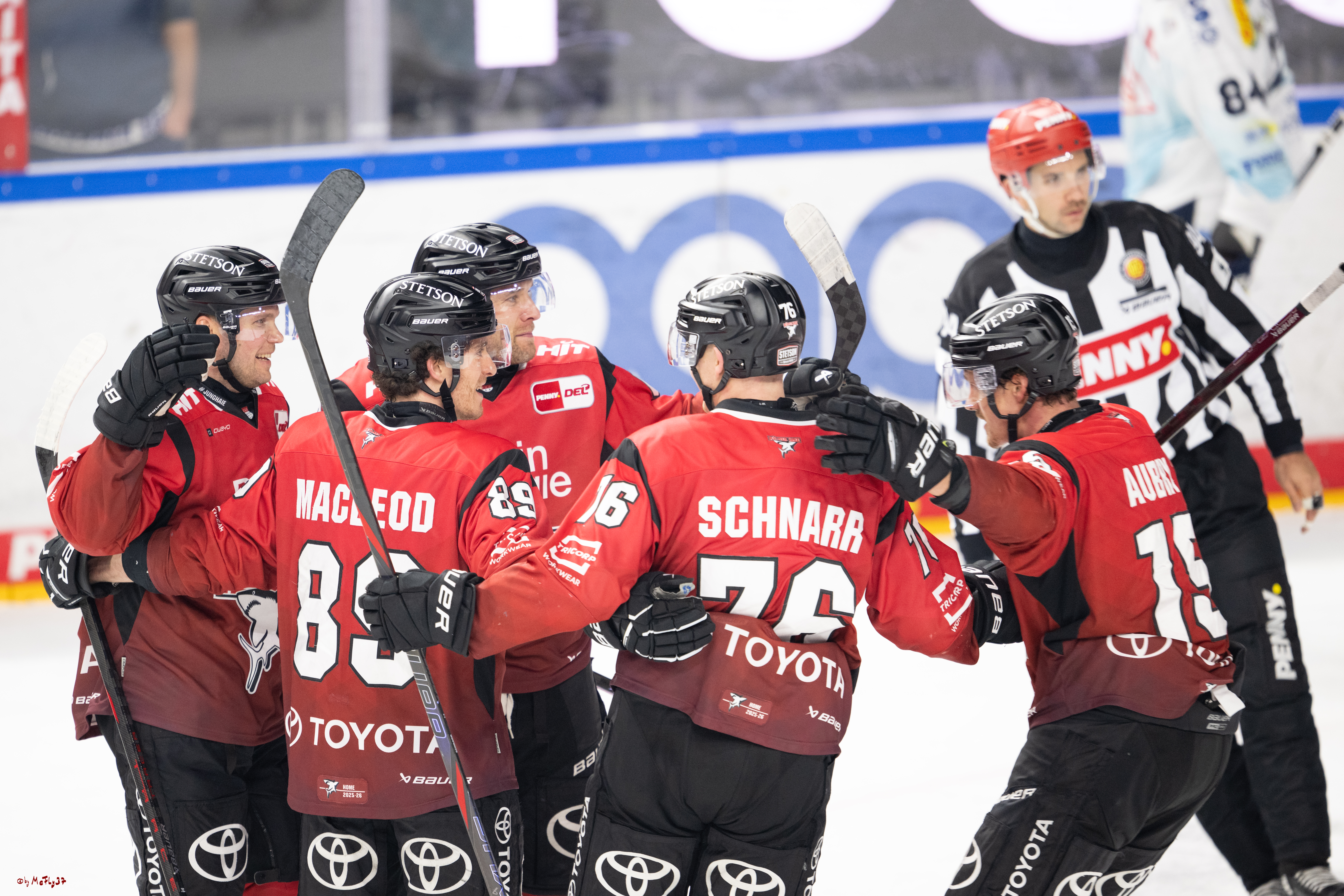 PENNY DEL 1; Kölner Haie - Dresdner Eislöwen; Köln, 16.11.2025