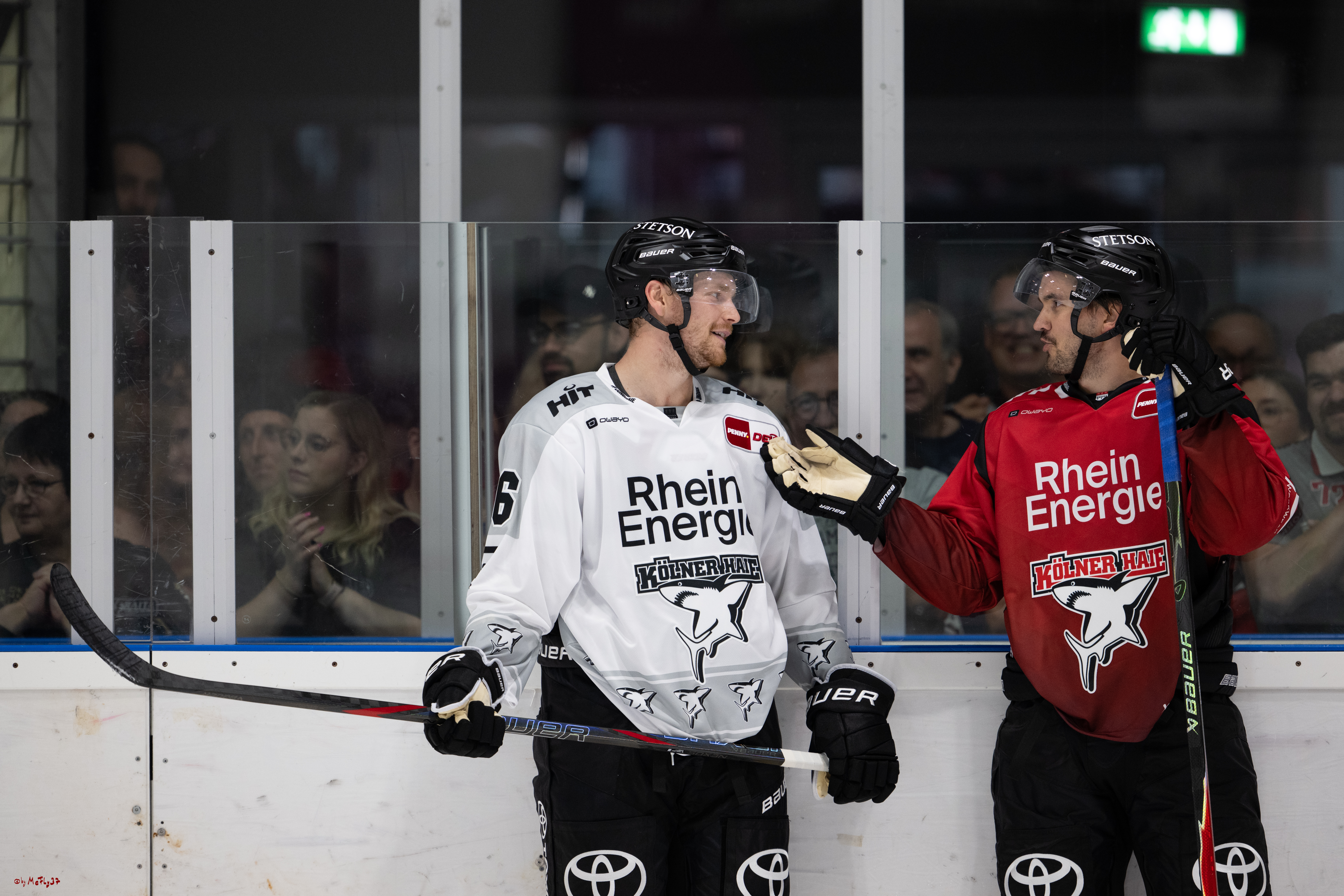 PENNY DEL 1; Trainingsauftakt Kölner Haie; Köln, 10.08.2025