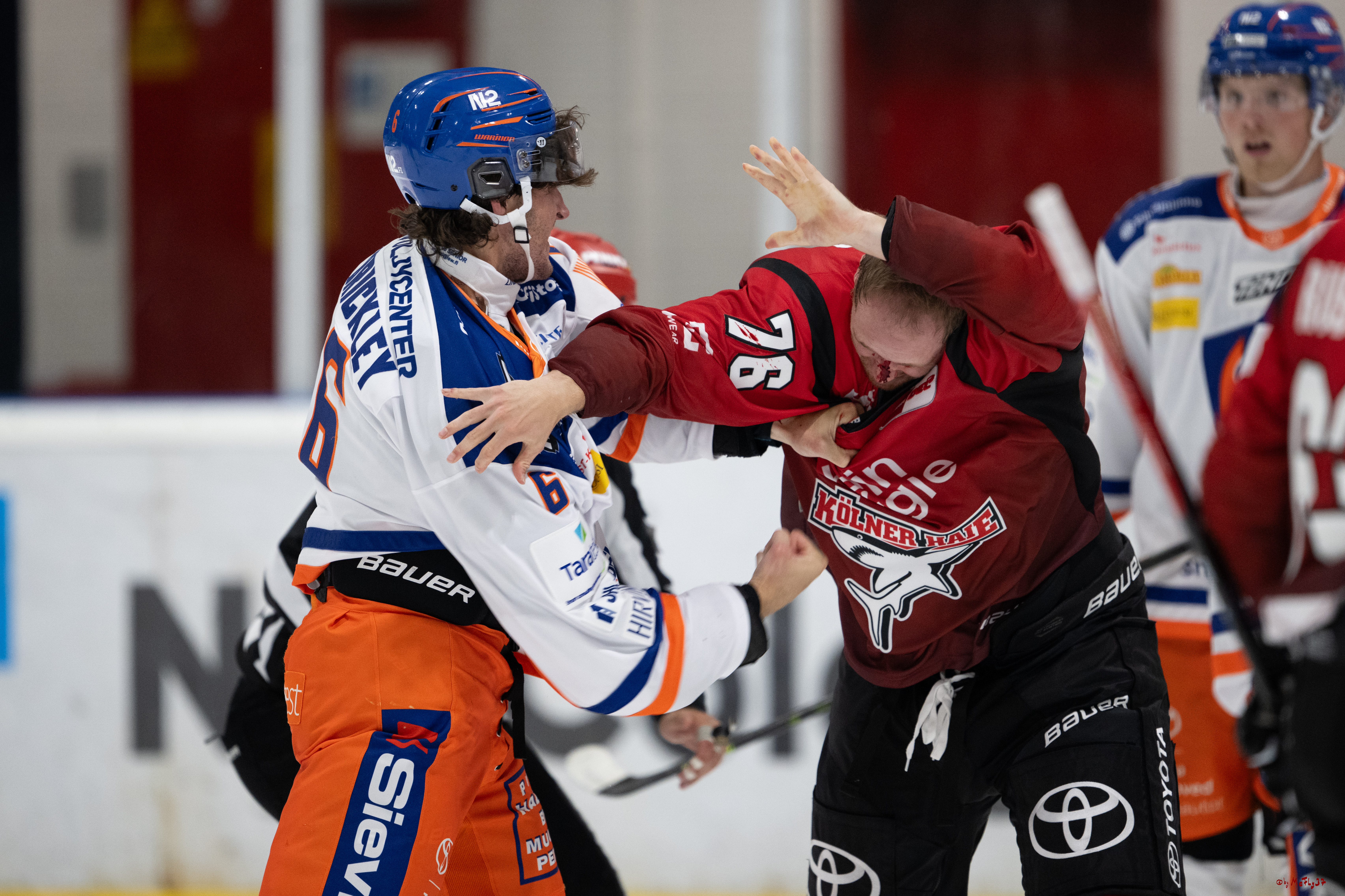PENNY DEL 1; Testspiel Kölner Haie - Tappara Tampere; Köln, 14.08.2025