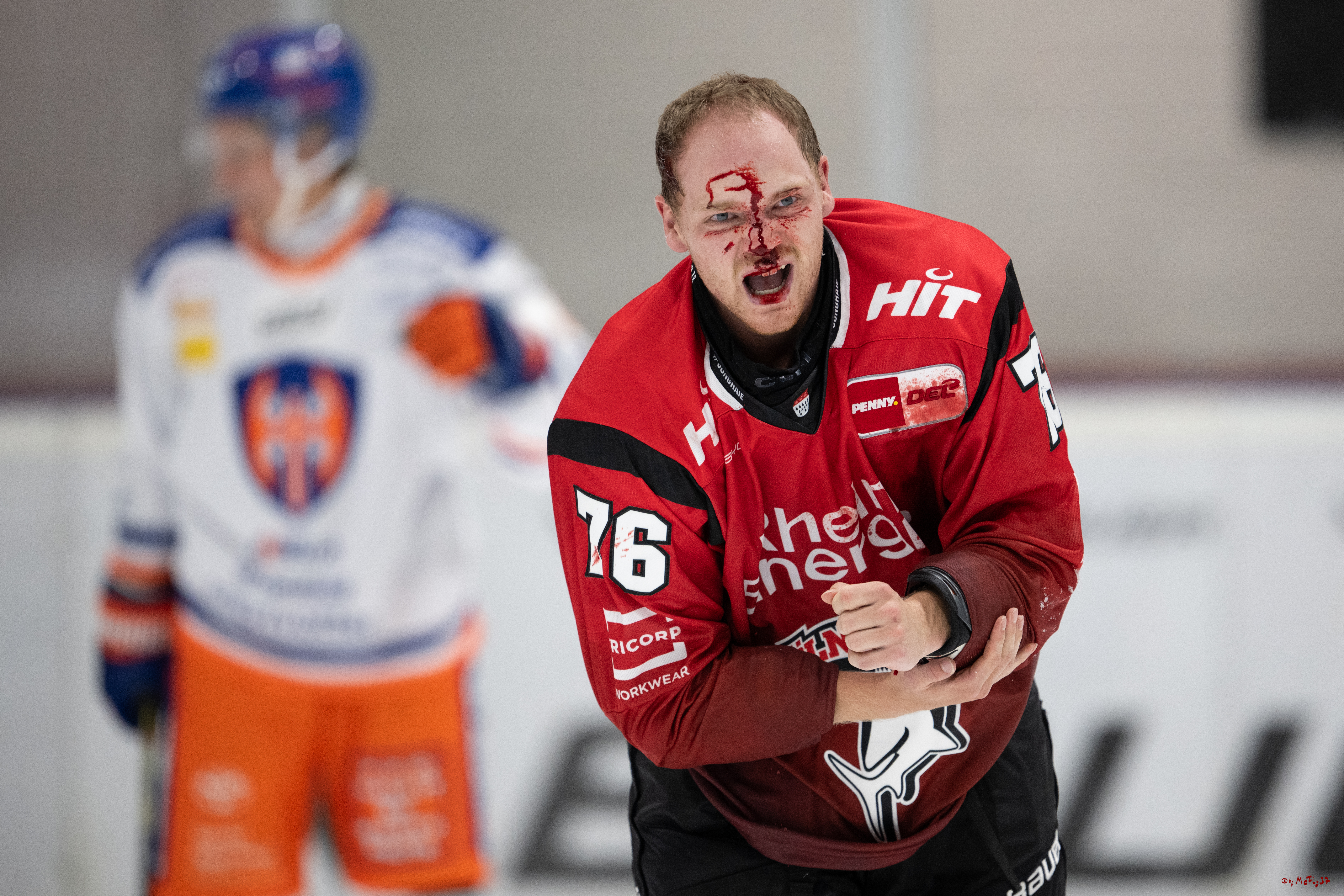 PENNY DEL 1; Testspiel Kölner Haie - Tappara Tampere; Köln, 14.08.2025