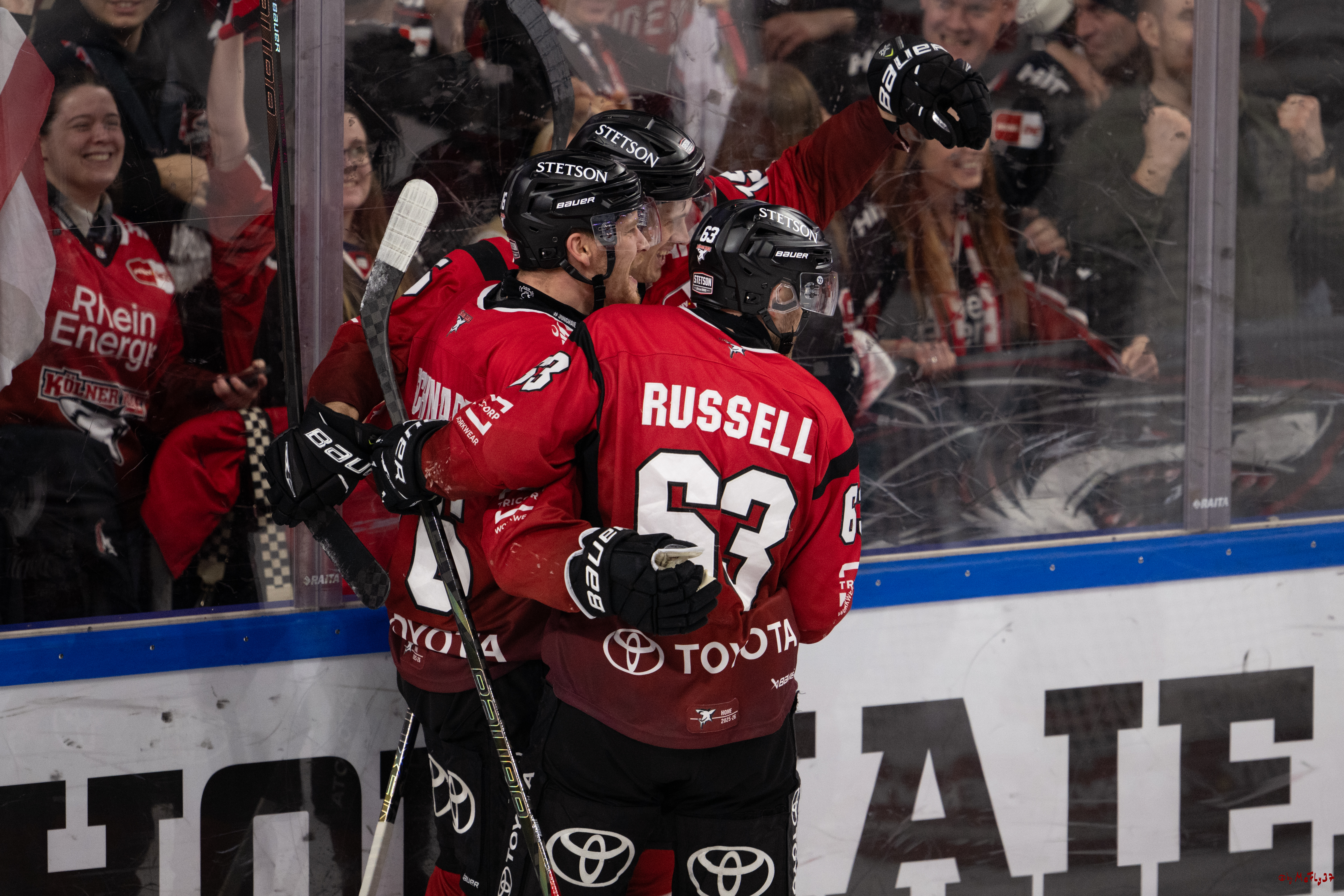 PENNY DEL 1; Kölner Haie - Iserlohn Roosters; Köln, 18.01.2026