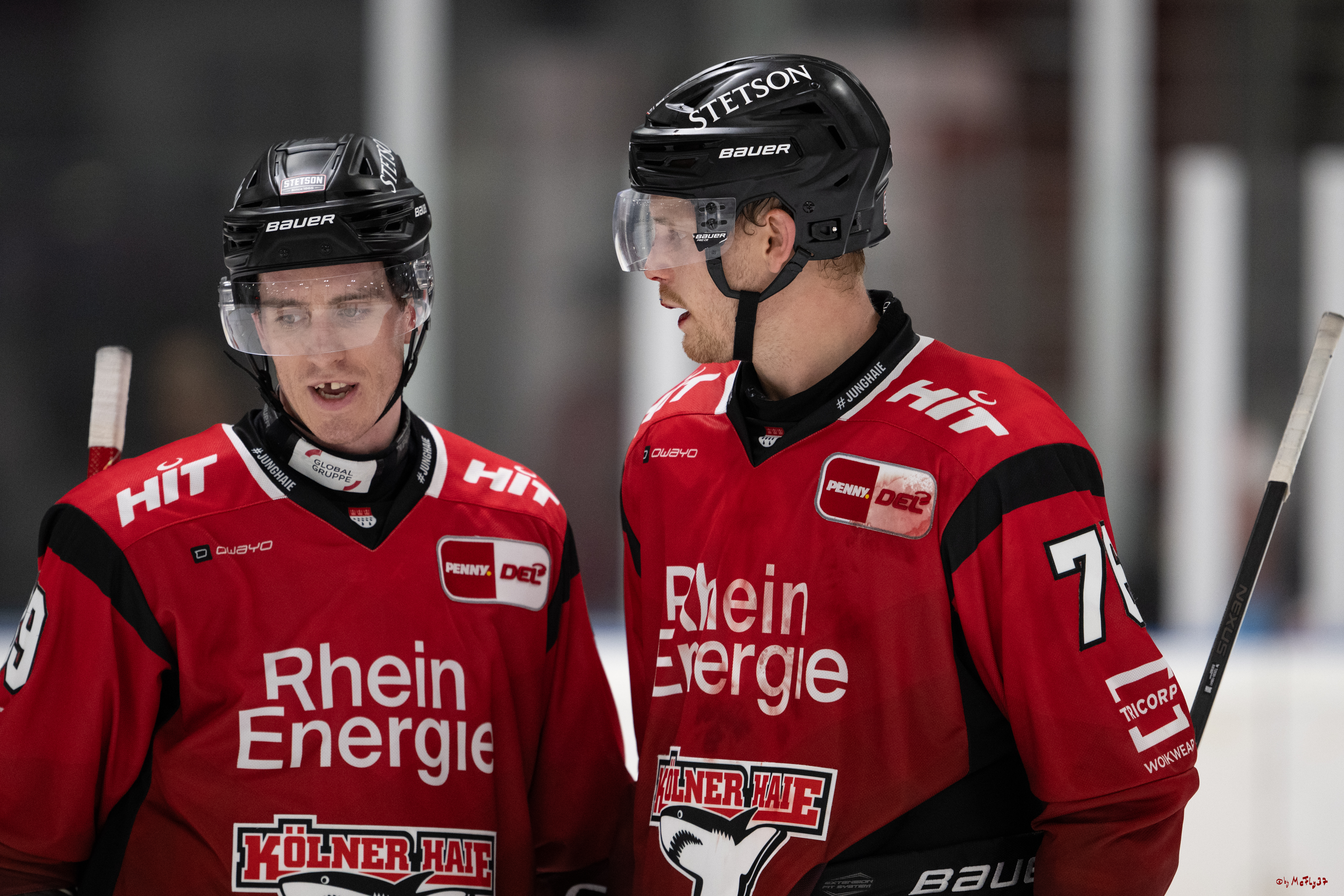 PENNY DEL 1; Testspiel Kölner Haie - Tappara Tampere; Köln, 14.08.2025