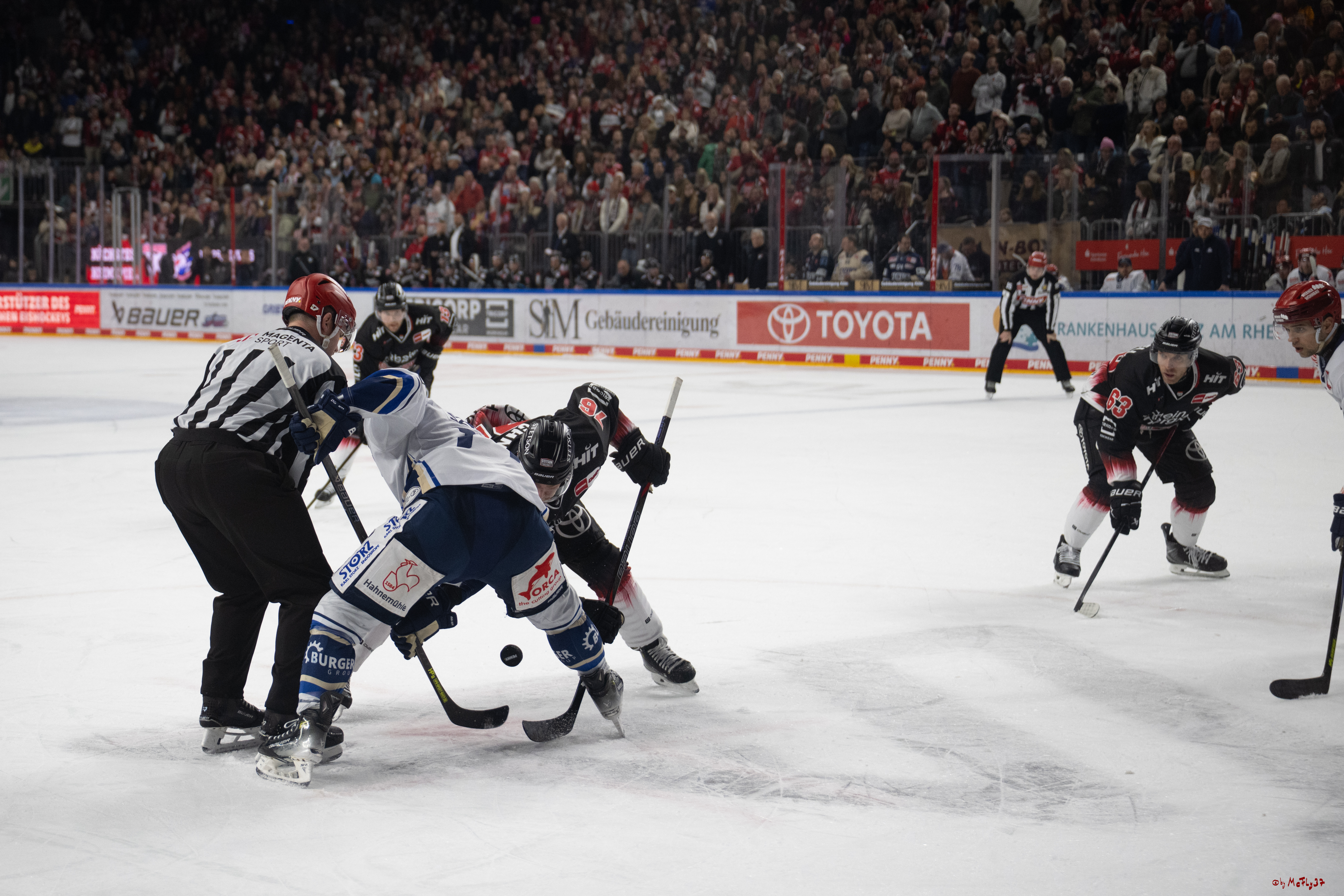 PENNY DEL 1; Kölner Haie - Schwenninger Wild Wings; Köln, 23.11.2025