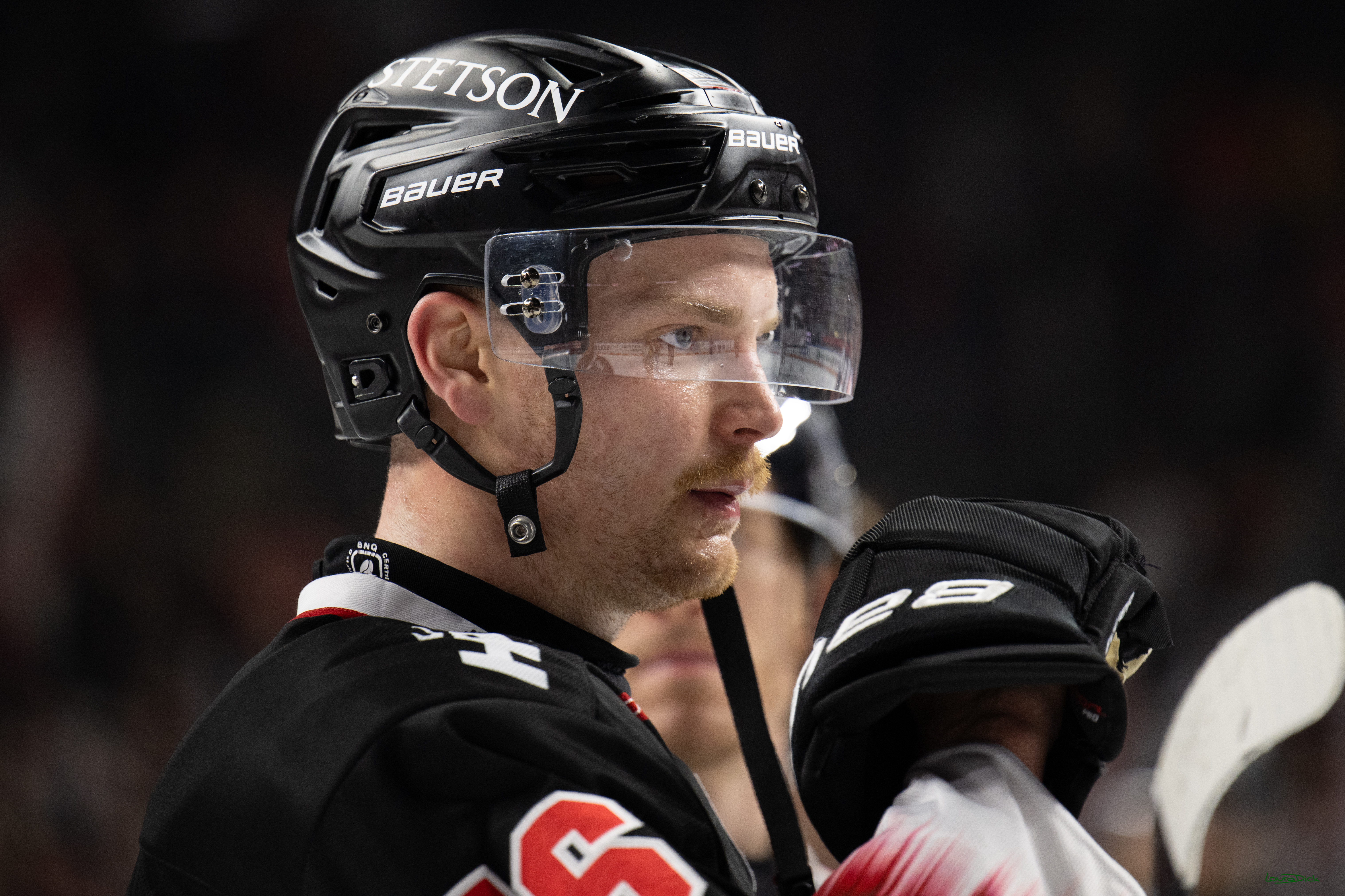 PENNY DEL 1; Kölner Haie - Schwenninger Wild Wings; Koeln, 23.11.2025