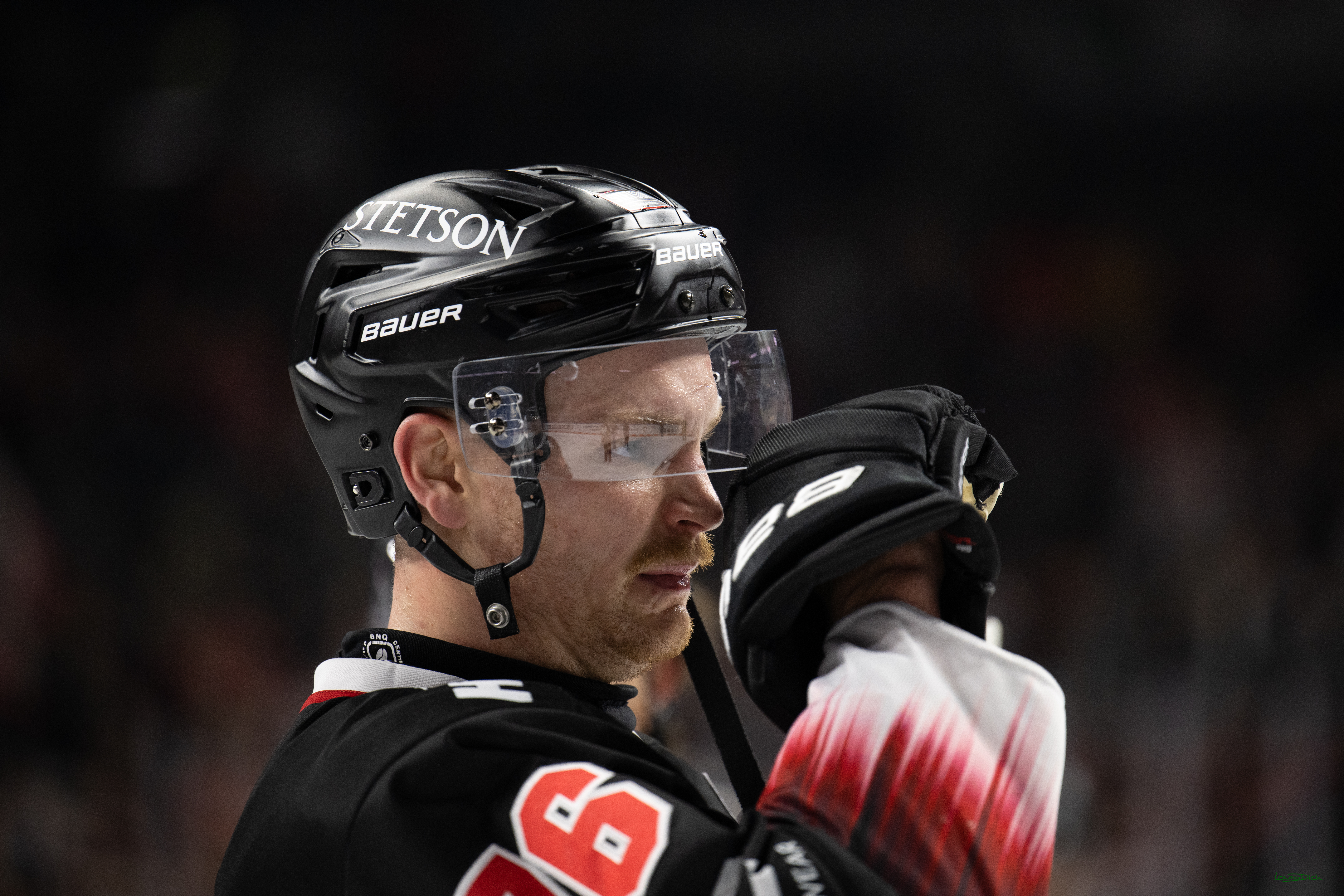 PENNY DEL 1; Kölner Haie - Schwenninger Wild Wings; Koeln, 23.11.2025