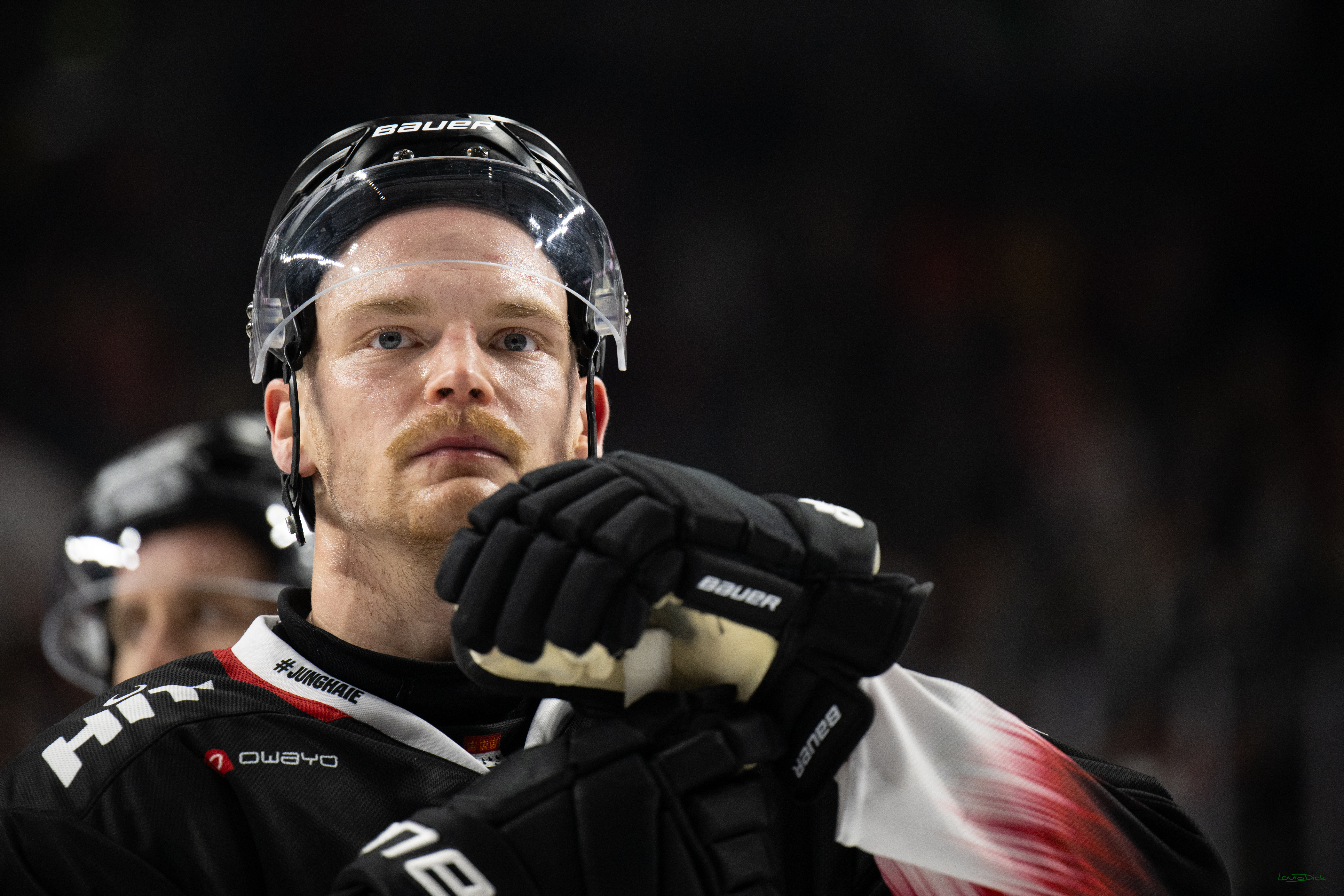 PENNY DEL 1; Kölner Haie - Schwenninger Wild Wings; Koeln, 23.11.2025