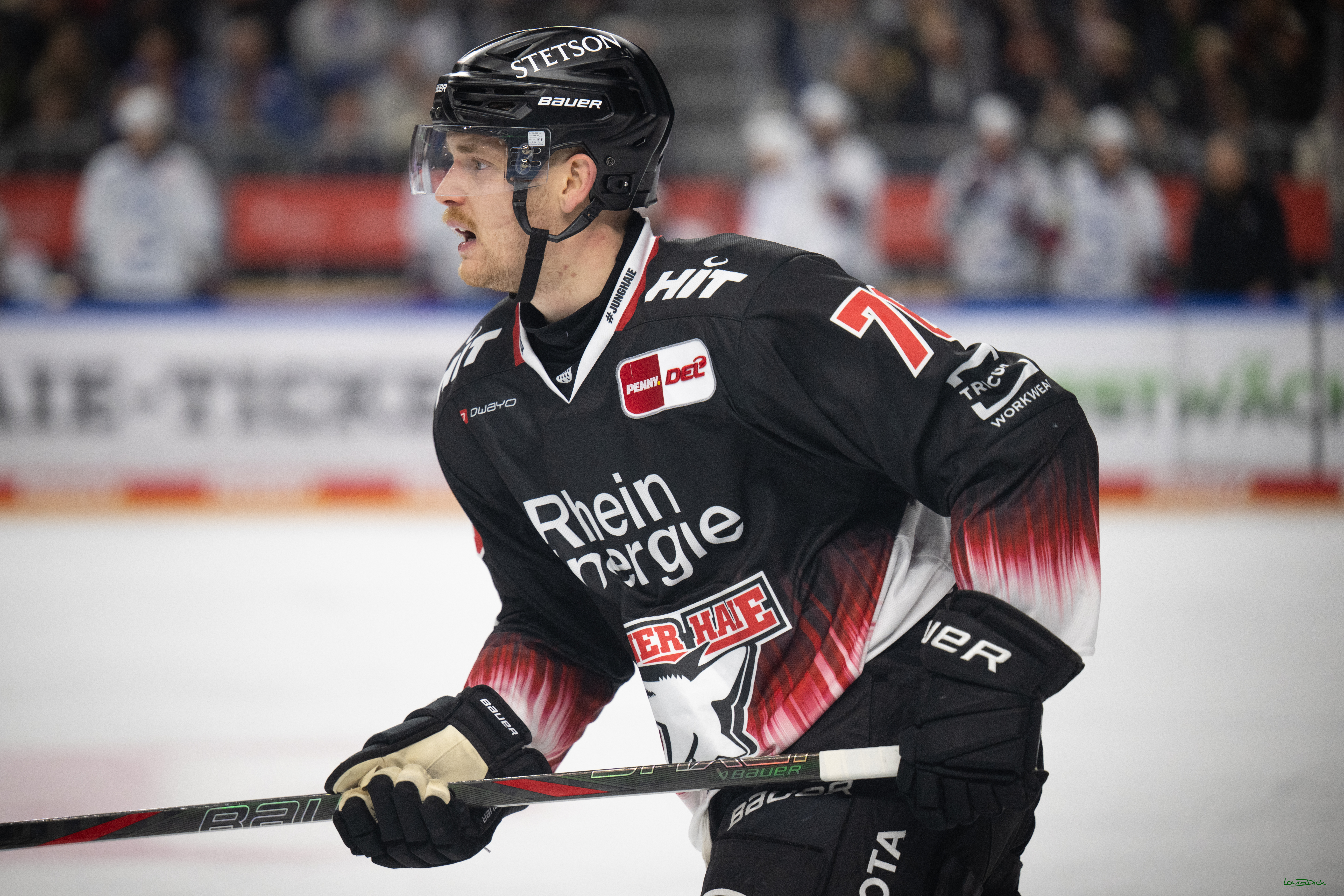 PENNY DEL 1; Kölner Haie - Adler Mannheim; Köln, 25.11.2025