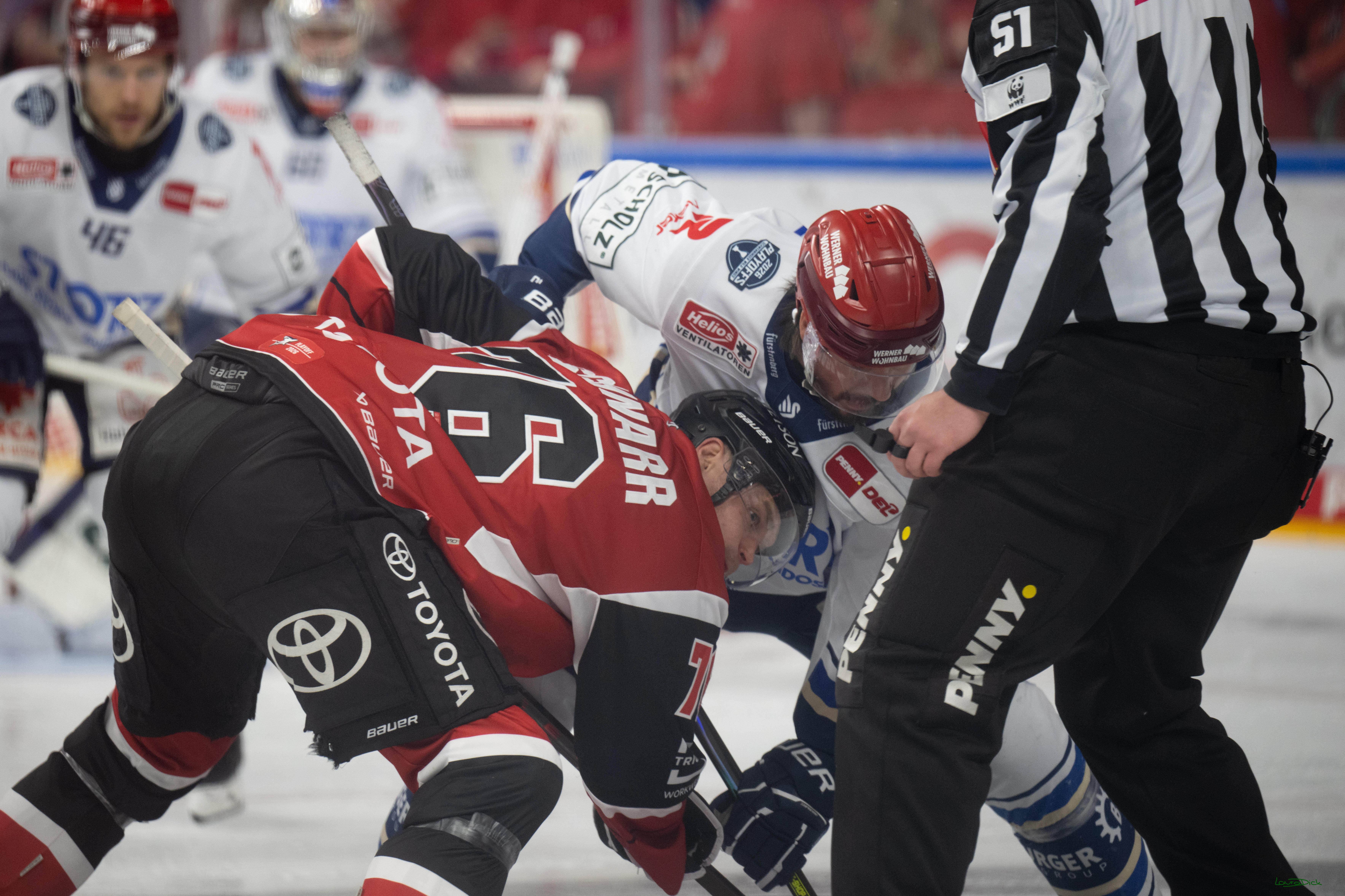 PENNY DEL 1 - Playoff Viertelfinale - Kölner Haie - Schwenninger Wild Wings; Köln, 31.03.2026