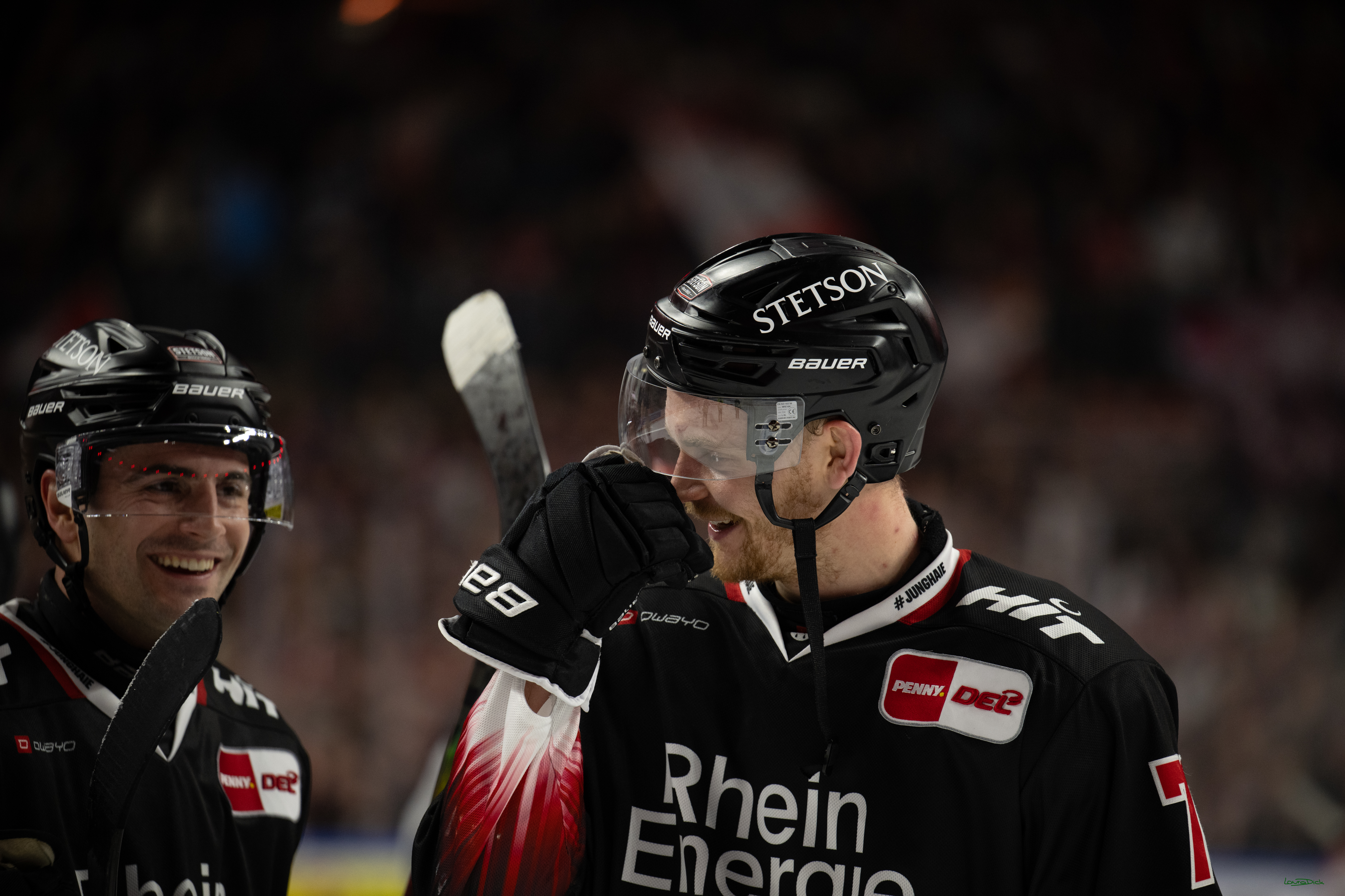 PENNY DEL 1; Kölner Haie - Nürnberg Ice Tigers; Köln, 25.01.2026