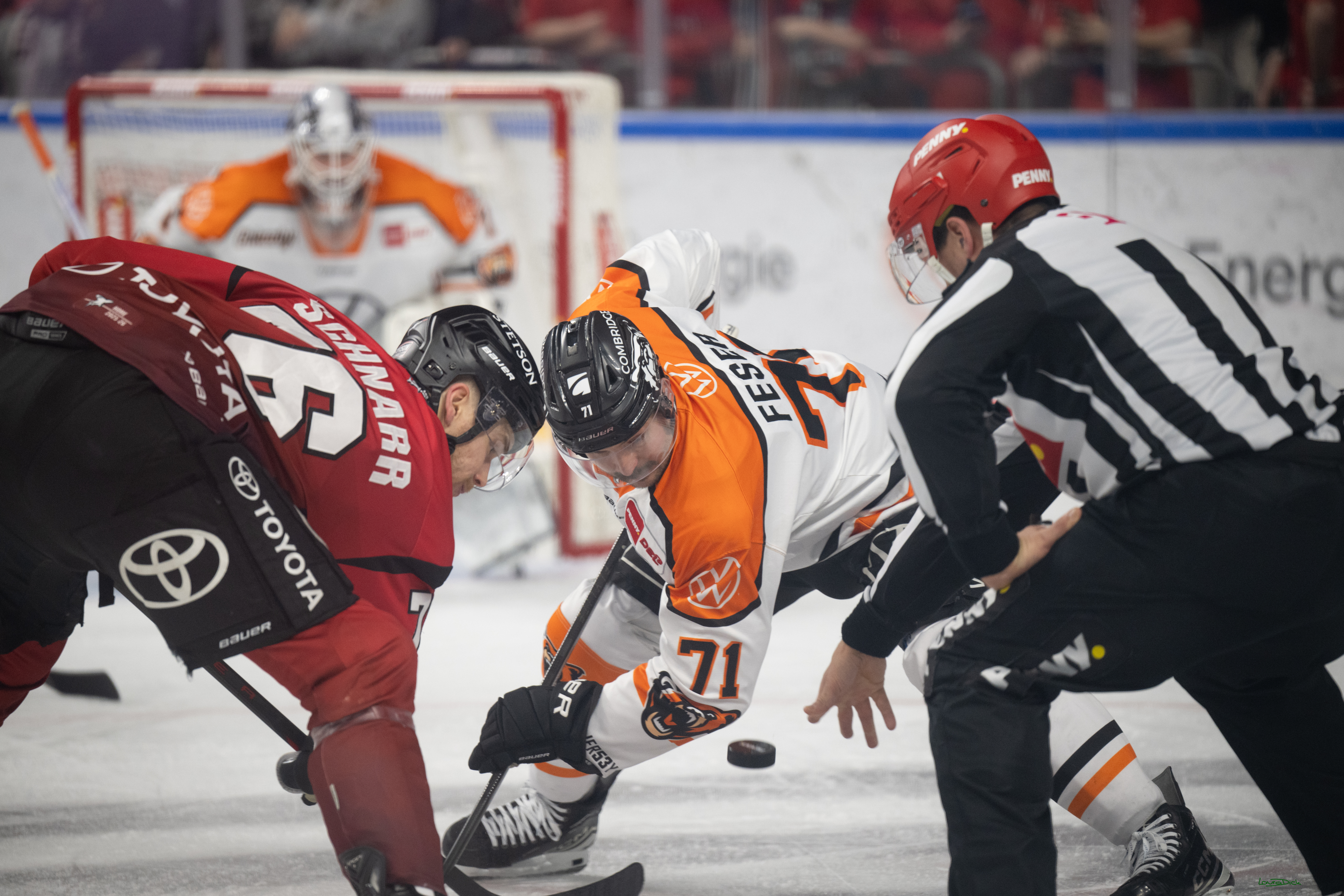 PENNY DEL; Kölner Haie-Grizzlys Wolfsburg; Köln, 18.12.2025