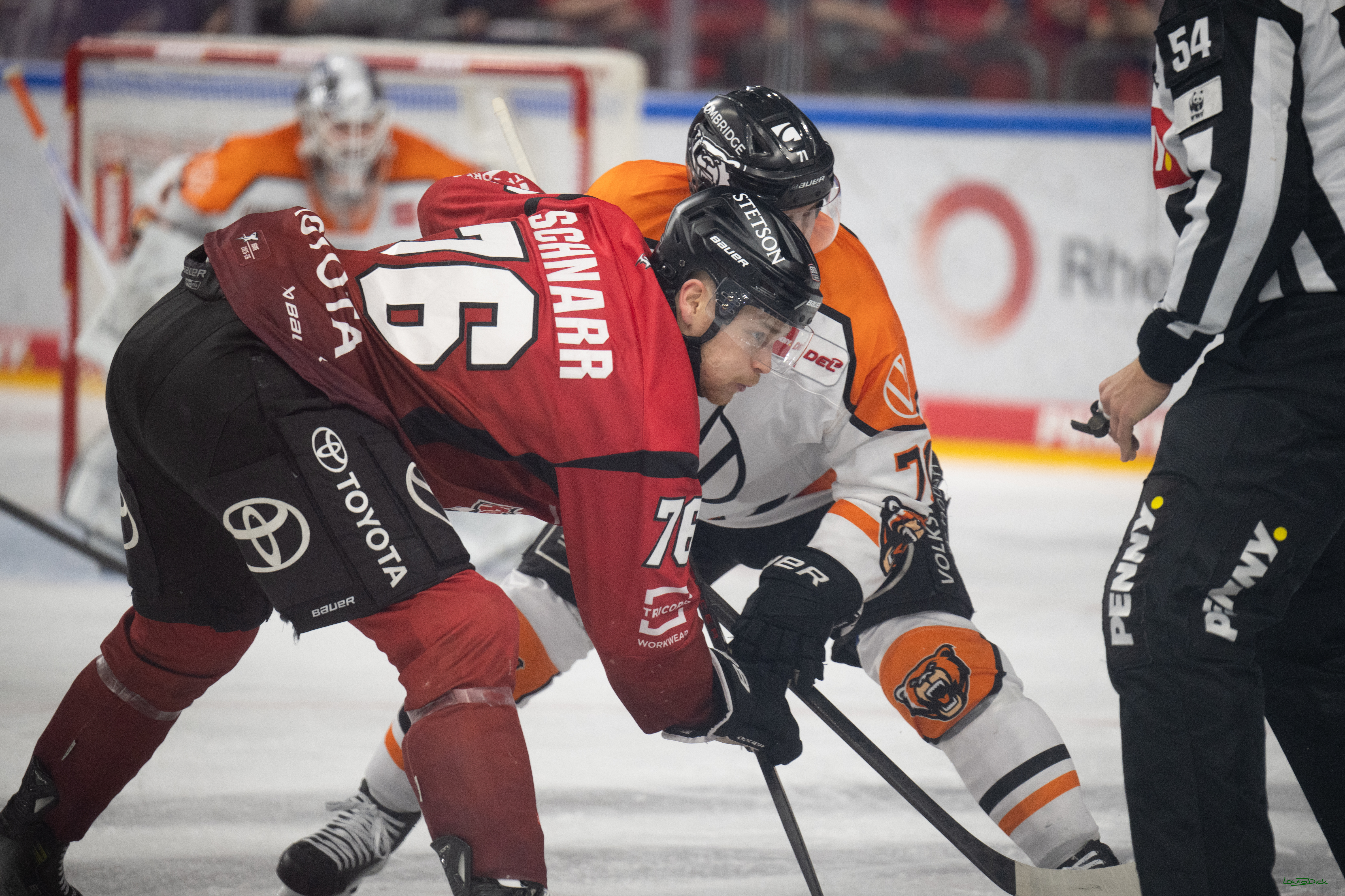 PENNY DEL; Kölner Haie-Grizzlys Wolfsburg; Köln, 18.12.2025
