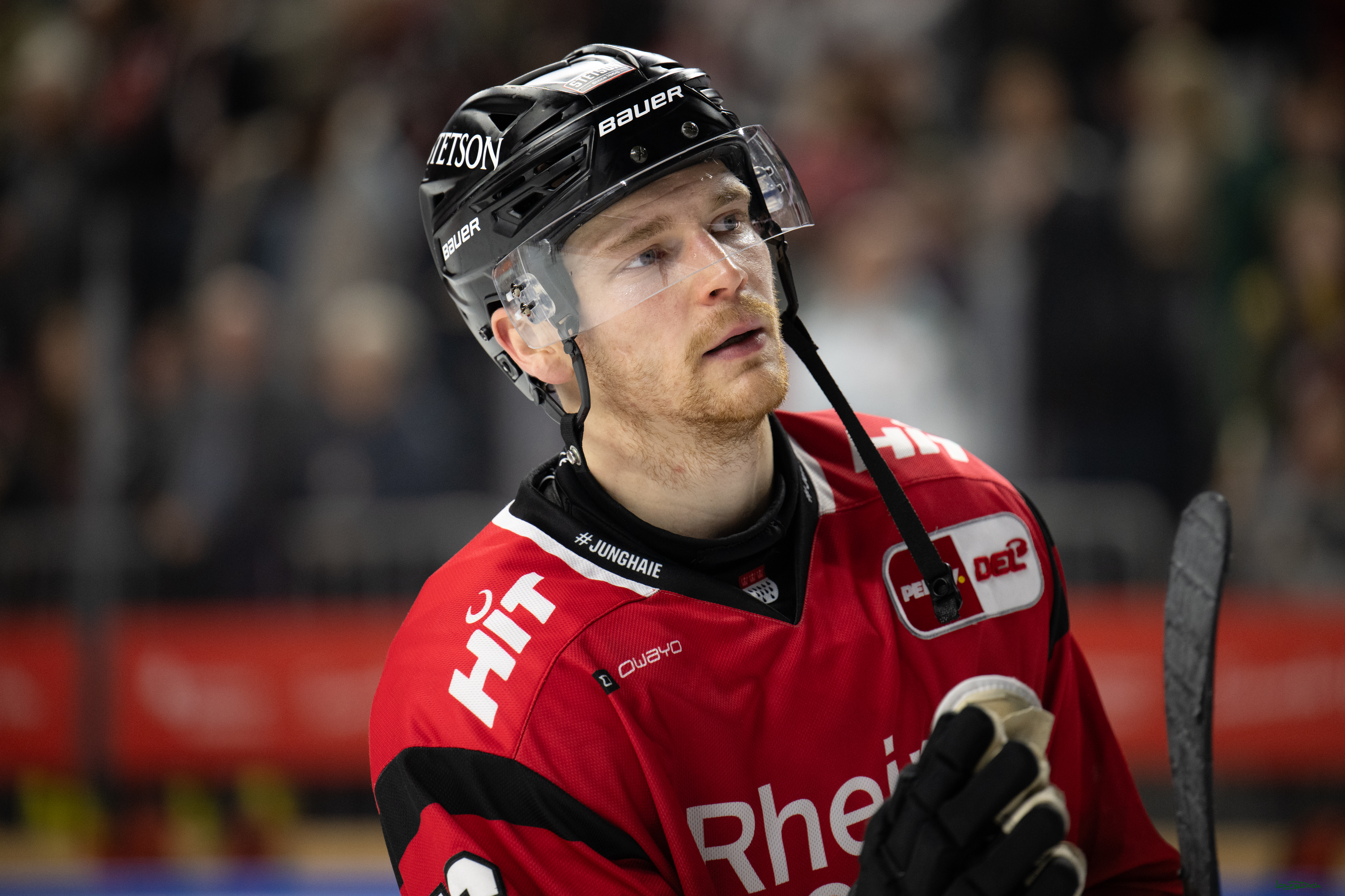 PENNY DEL; Kölner Haie-Grizzlys Wolfsburg; Köln, 18.12.2025