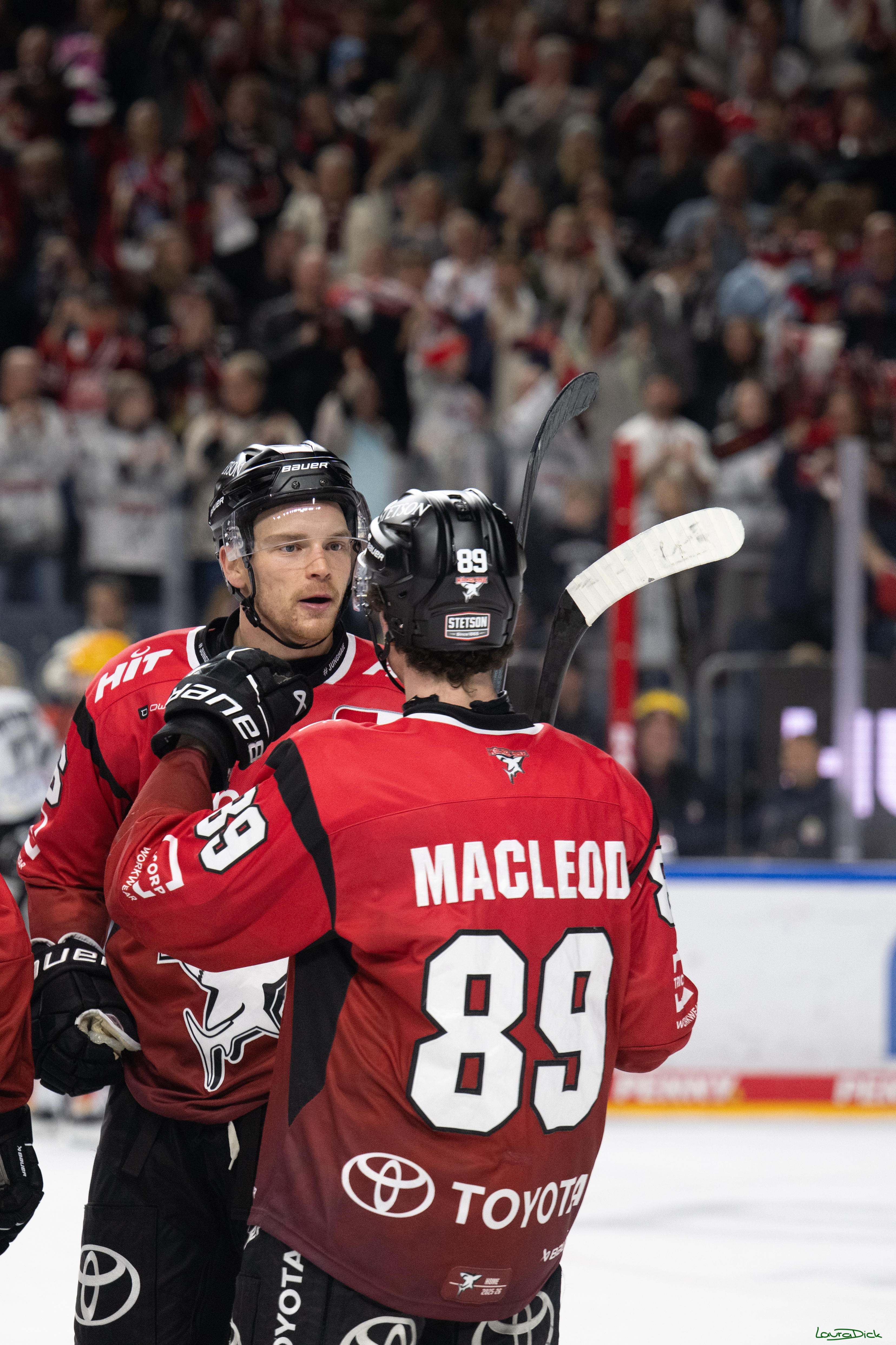 PENNY DEL 1; Koelner Haie - Fischtown Bremerhaven; Koeln, 02.10.2025