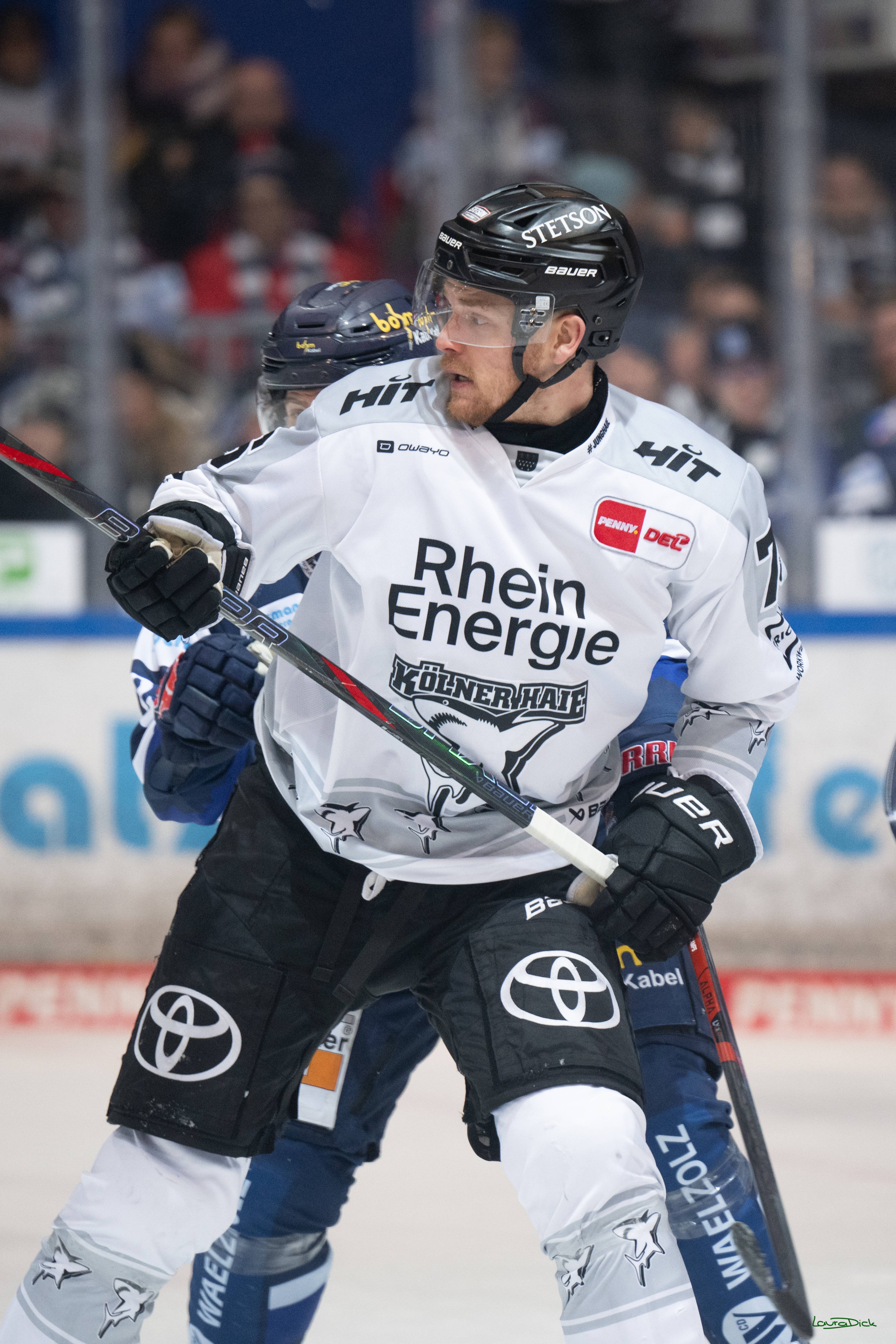 PENNY DEL: Iserlohn Roosters - Kölner Haie; Iserlohn, 30.12.2025