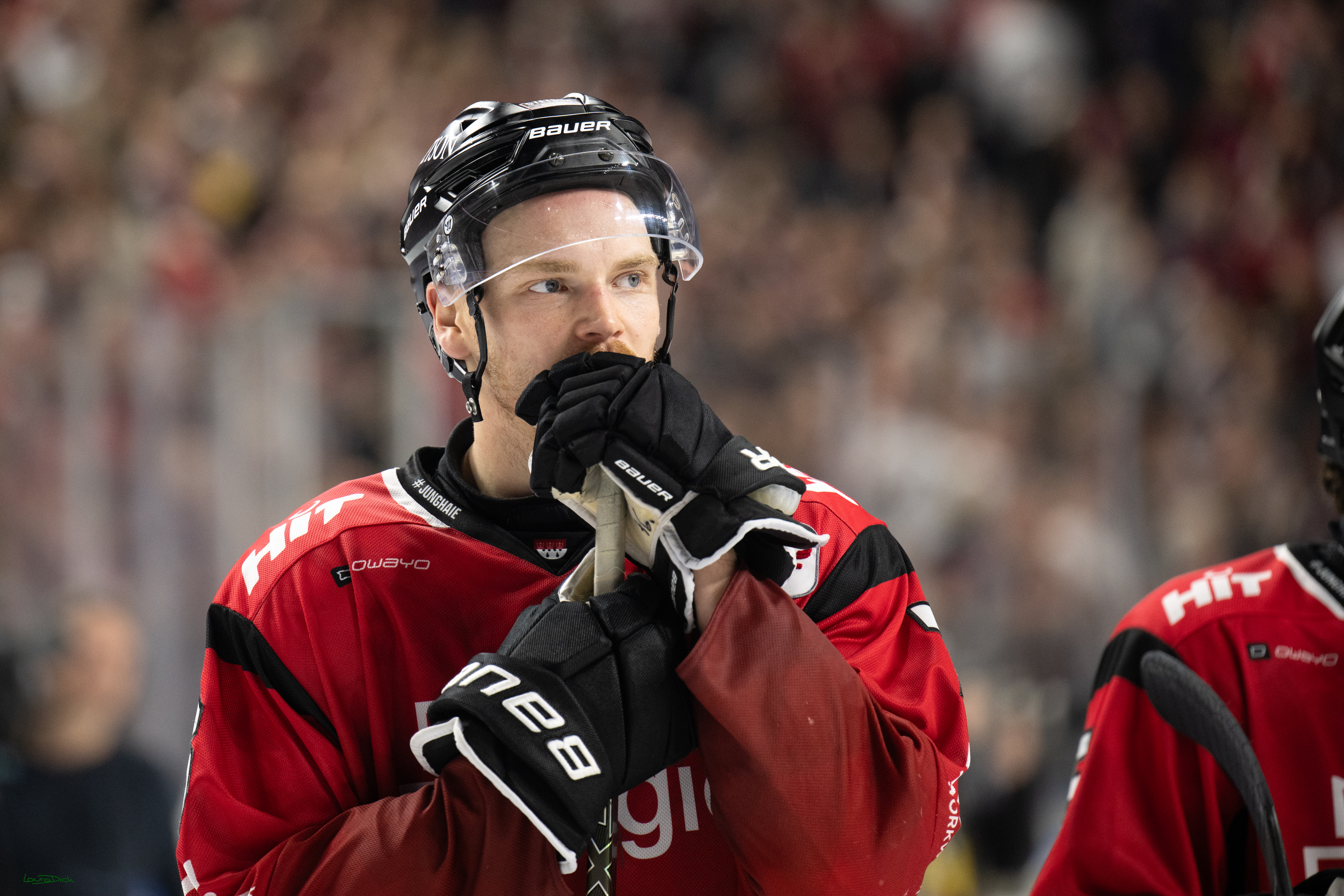 PENNY DEL 1; Koelner Haie - ERC Ingolstadt; Koeln, 10.10.2025