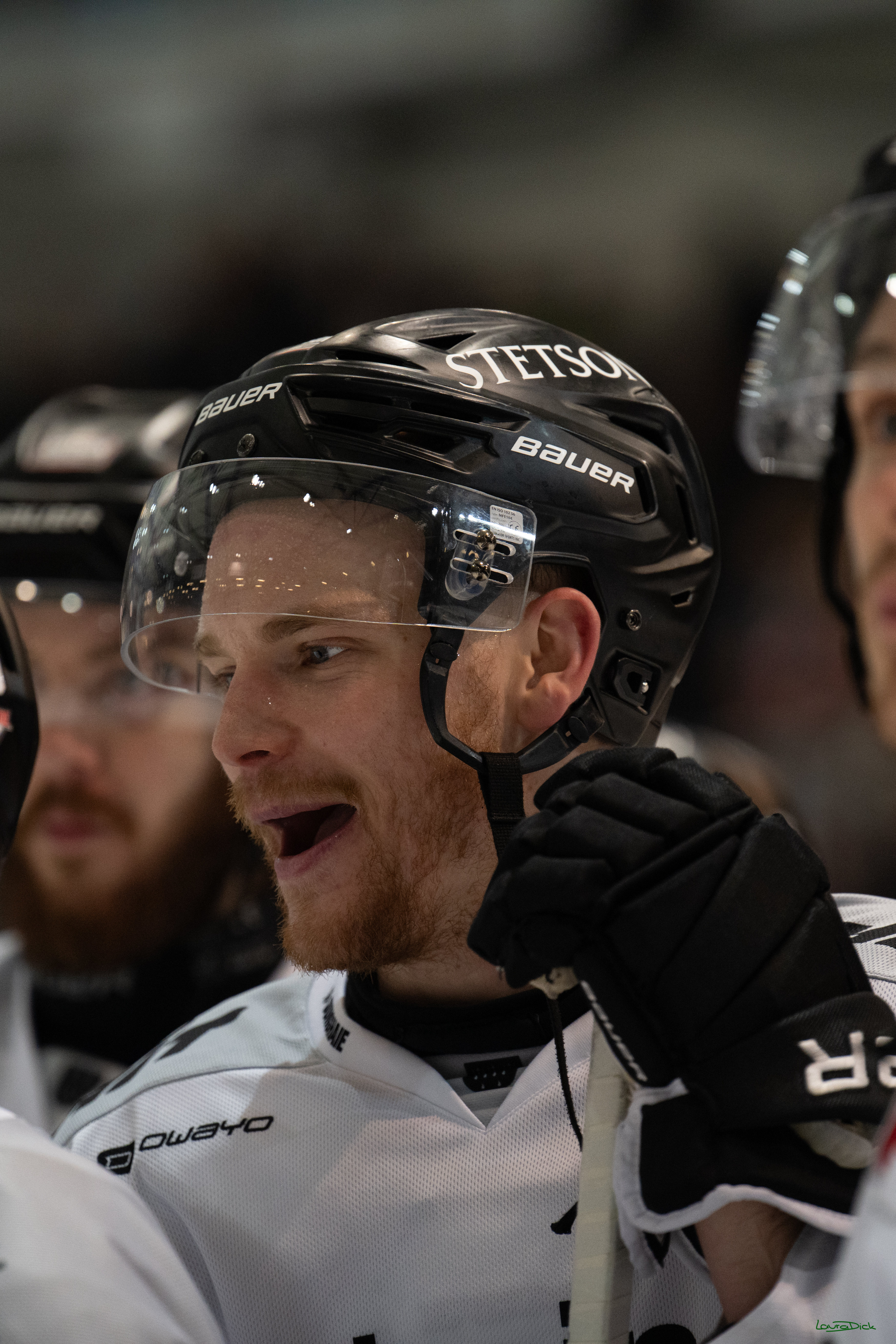 PENNY DEL: Iserlohn Roosters - Kölner Haie; Iserlohn, 30.12.2025