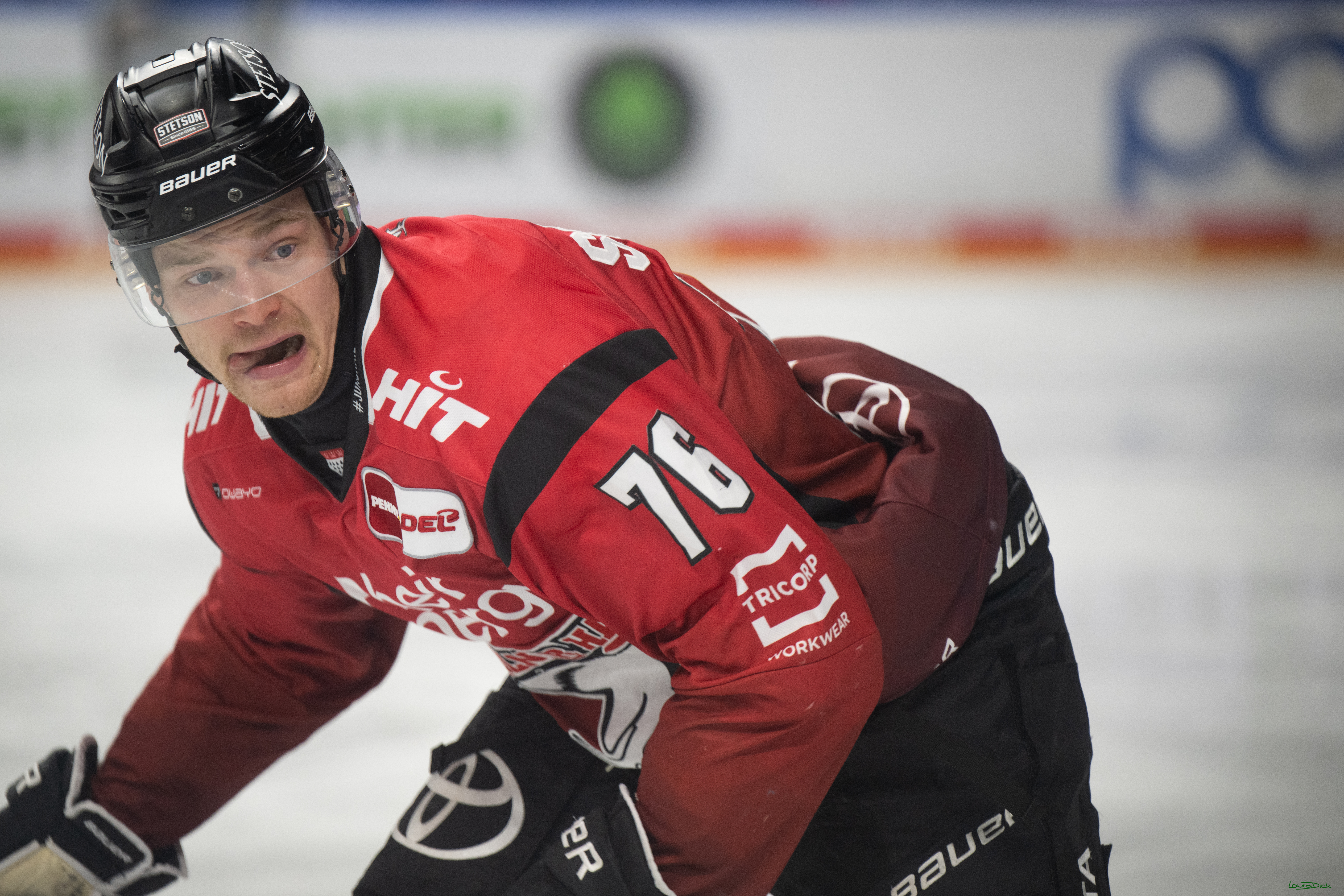 PENNY DEL 1; Kölner Haie - Straubing Tigers; Köln, 02.01.2026
