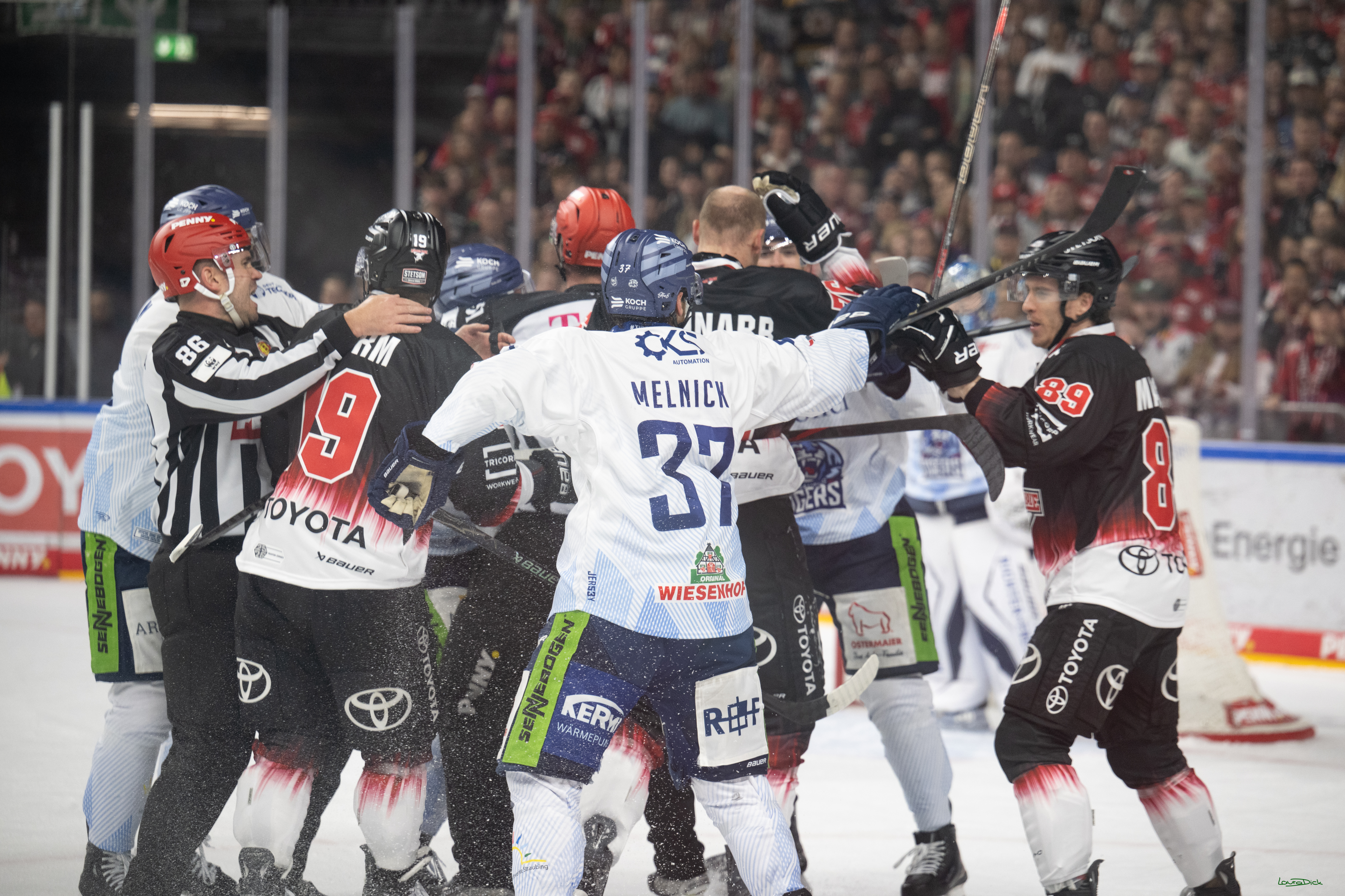 PENNY DEL 1; Koelner Haie - Straubing Tigers; Koeln, 19.10.2025