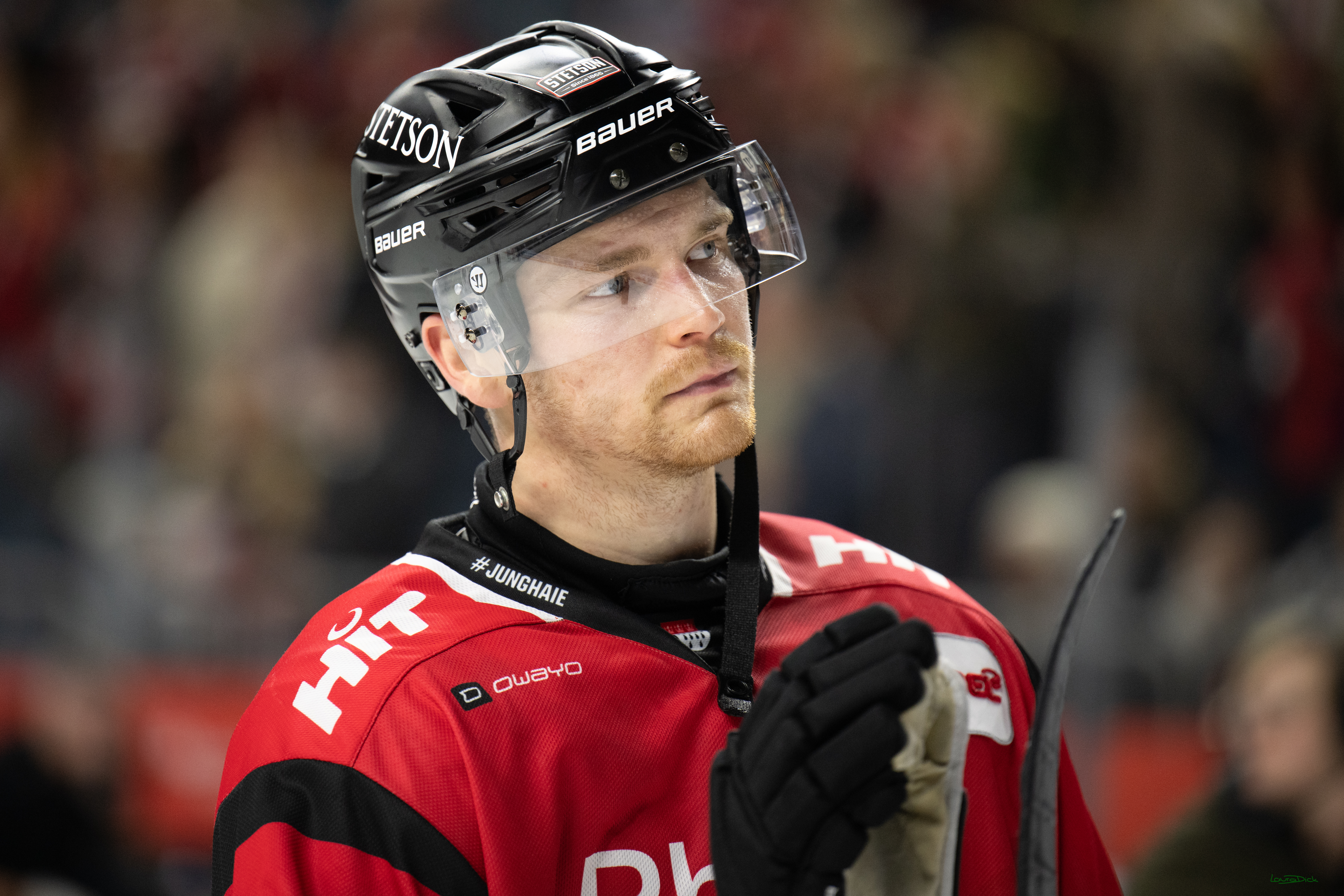 PENNY DEL 1; Koelner Haie - EHC Red Bull Muenchen; Koeln, 02.11.2025