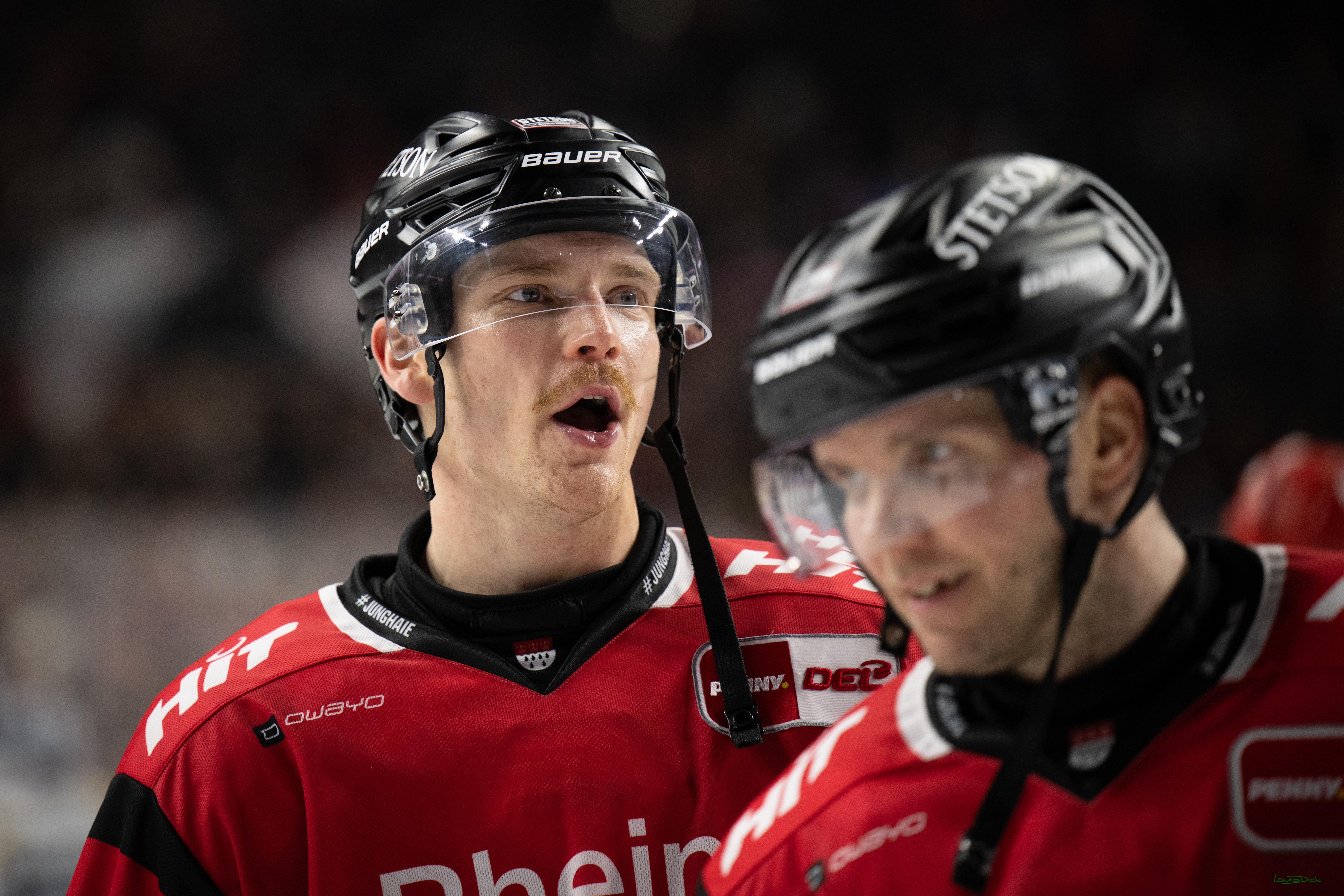 PENNY DEL 1; Kölner Haie - Dresdner Eislöwen; Koeln, 16.11.2025